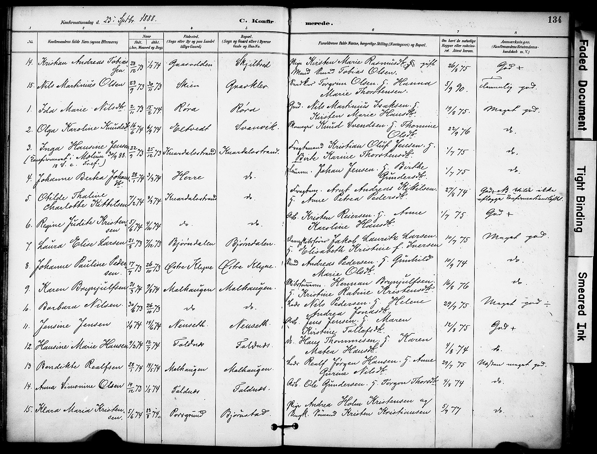 Solum kirkebøker, AV/SAKO-A-306/F/Fa/L0010: Parish register (official) no. I 10, 1888-1898, p. 134