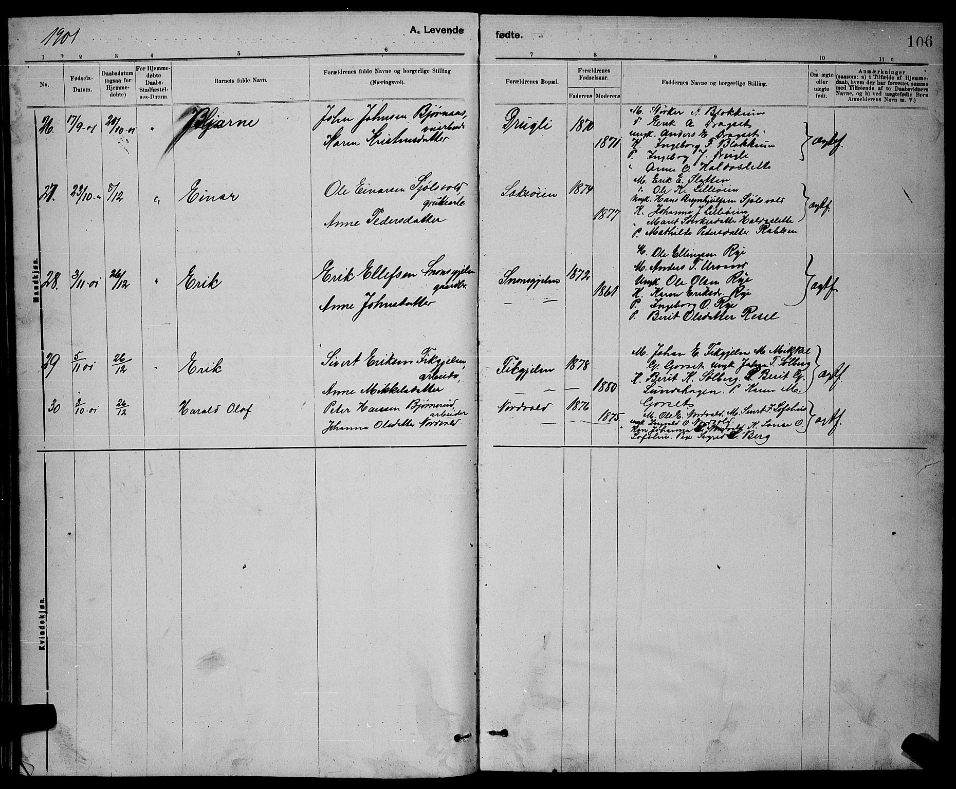 Ministerialprotokoller, klokkerbøker og fødselsregistre - Sør-Trøndelag, SAT/A-1456/672/L0863: Parish register (copy) no. 672C02, 1888-1901, p. 106