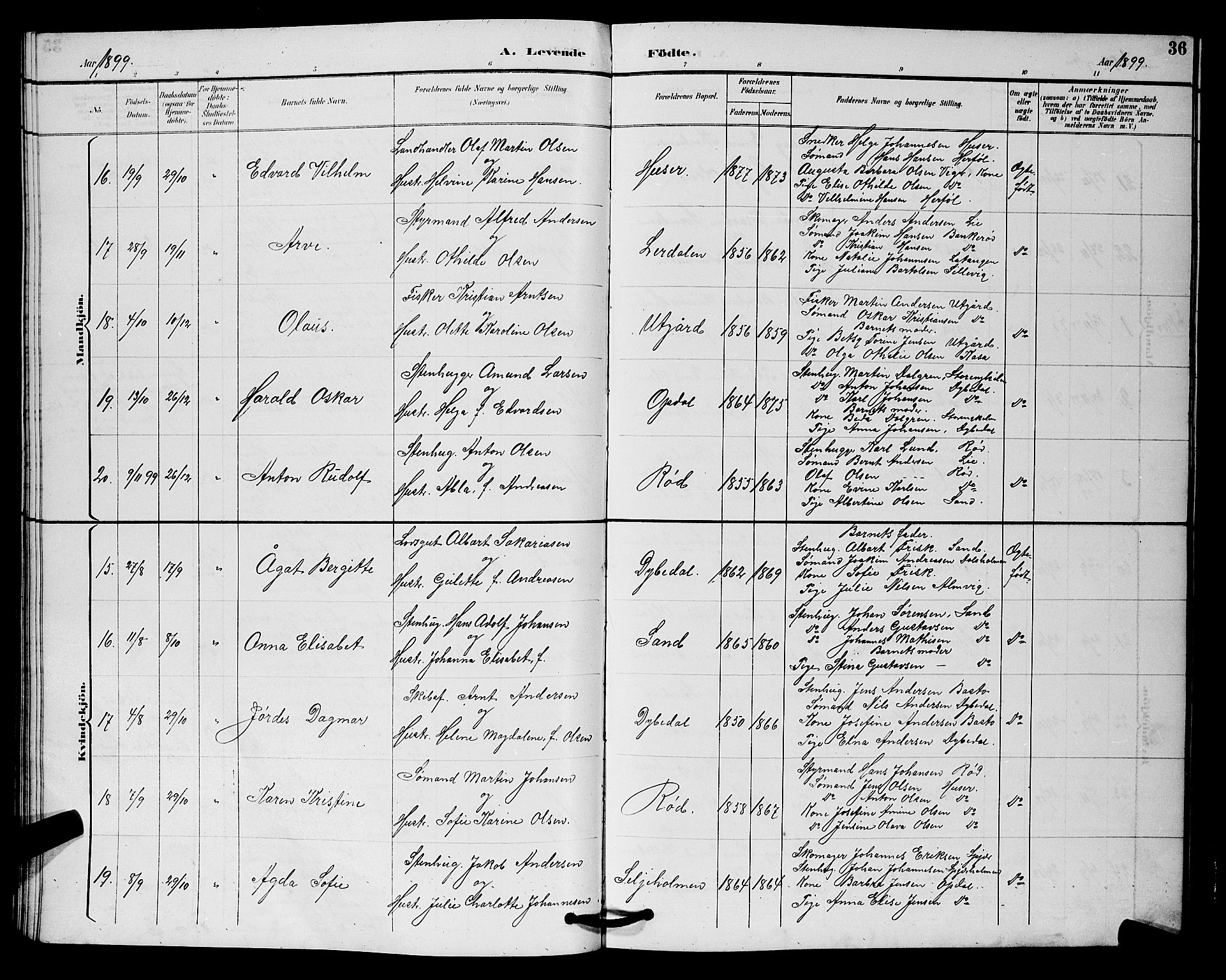 Hvaler prestekontor Kirkebøker, SAO/A-2001/G/Gb/L0001: Parish register (copy) no. II 1, 1892-1904, p. 36