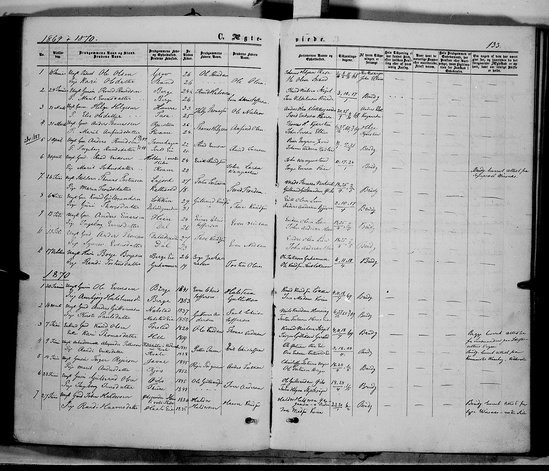 Vang prestekontor, Valdres, AV/SAH-PREST-140/H/Ha/L0007: Parish register (official) no. 7, 1865-1881, p. 133