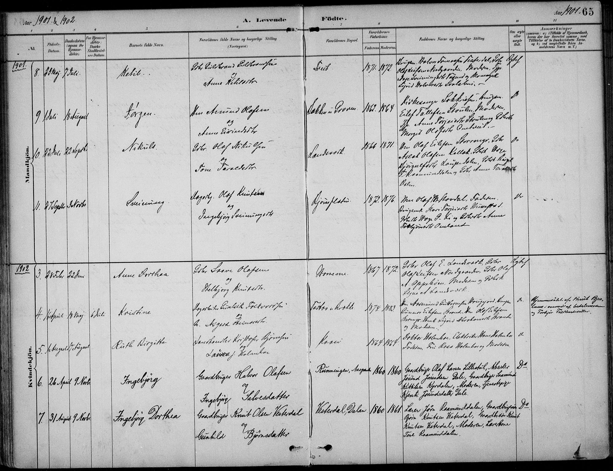 Kviteseid kirkebøker, SAKO/A-276/F/Fb/L0002: Parish register (official) no. II 2, 1882-1916, p. 65
