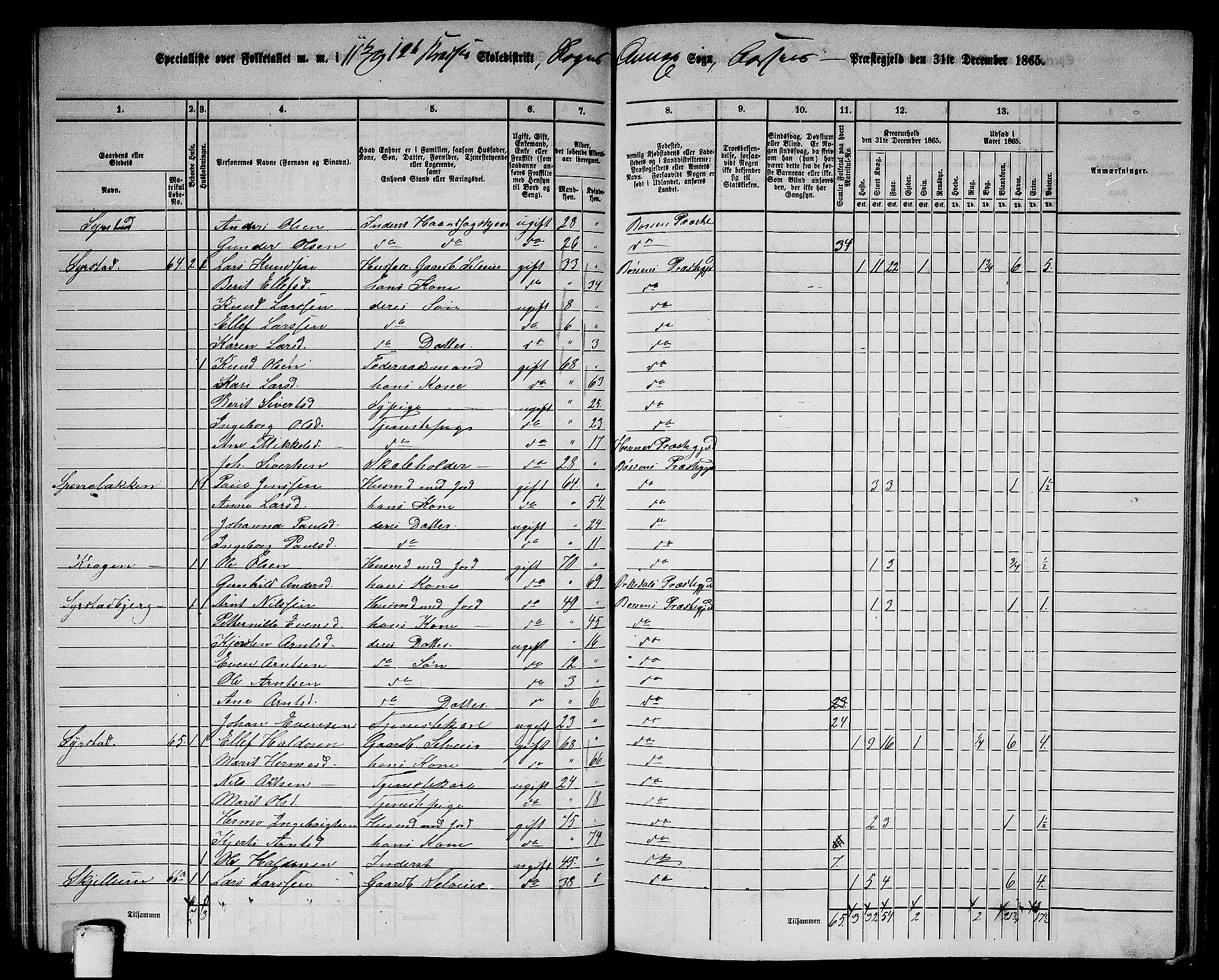 RA, 1865 census for Børsa, 1865, p. 131