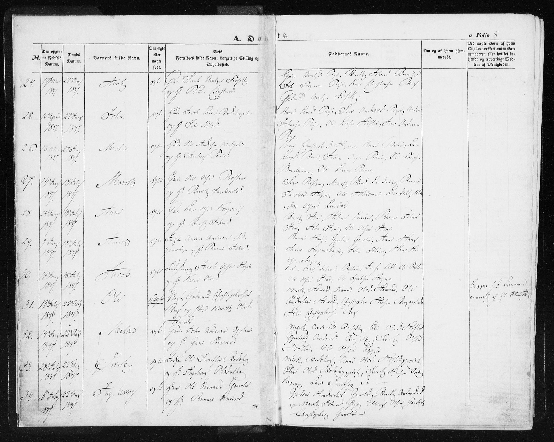 Ministerialprotokoller, klokkerbøker og fødselsregistre - Sør-Trøndelag, AV/SAT-A-1456/612/L0376: Parish register (official) no. 612A08, 1846-1859, p. 8