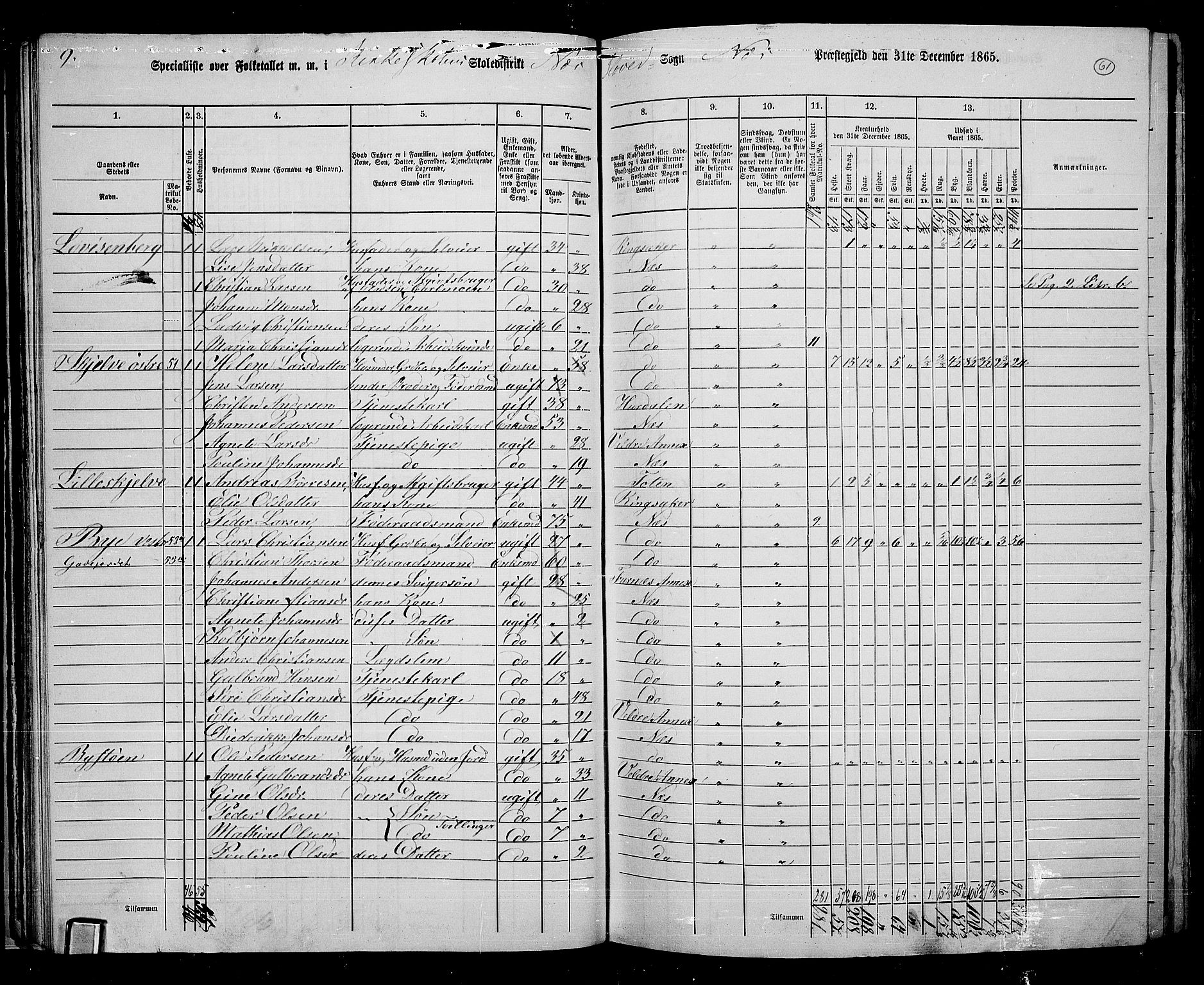 RA, 1865 census for Nes, 1865, p. 54