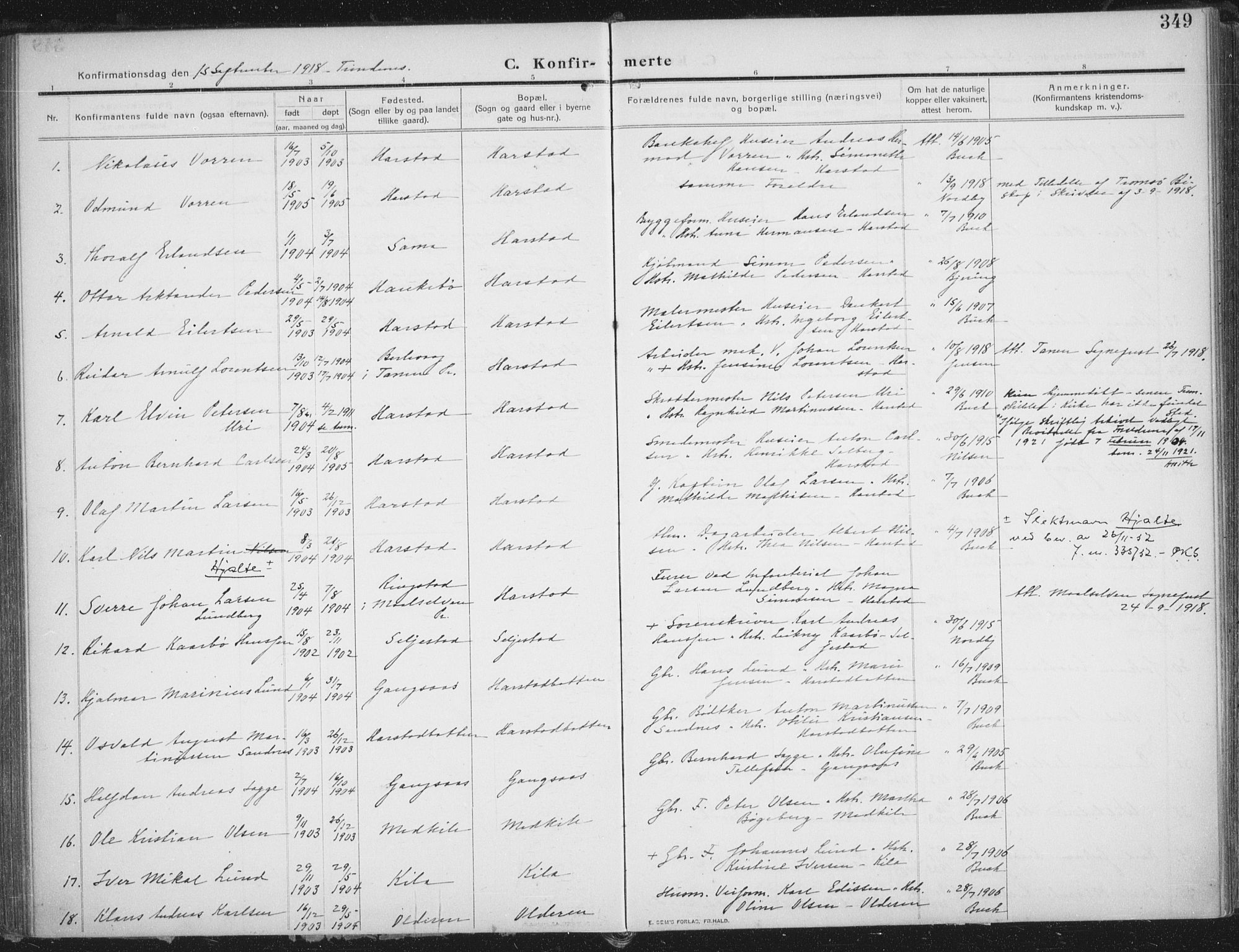 Trondenes sokneprestkontor, AV/SATØ-S-1319/H/Ha/L0018kirke: Parish register (official) no. 18, 1909-1918, p. 349