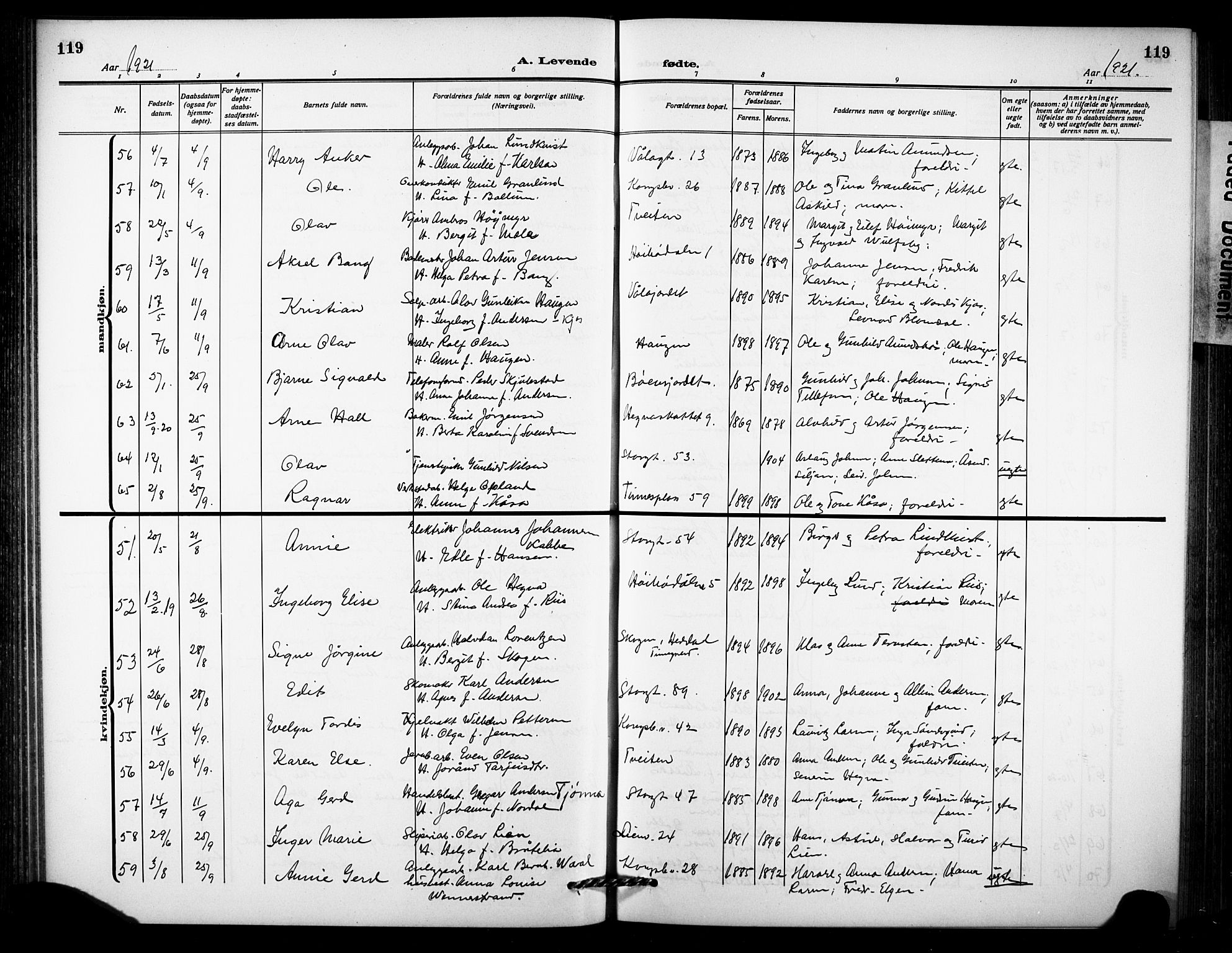 Notodden kirkebøker, AV/SAKO-A-290/G/Ga/L0001: Parish register (copy) no. 1, 1912-1923, p. 119