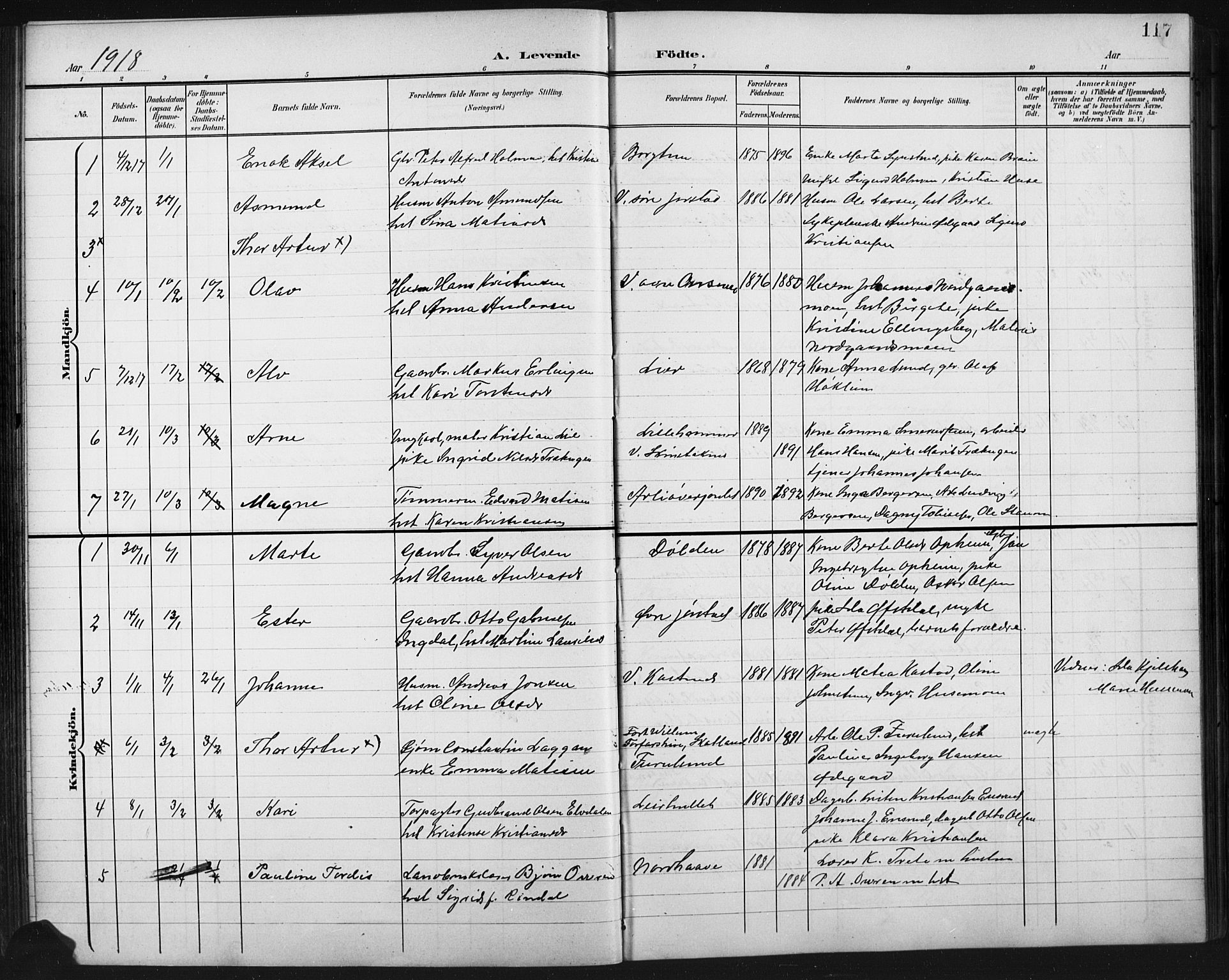 Fåberg prestekontor, SAH/PREST-086/H/Ha/Hab/L0011: Parish register (copy) no. 11, 1901-1921, p. 117