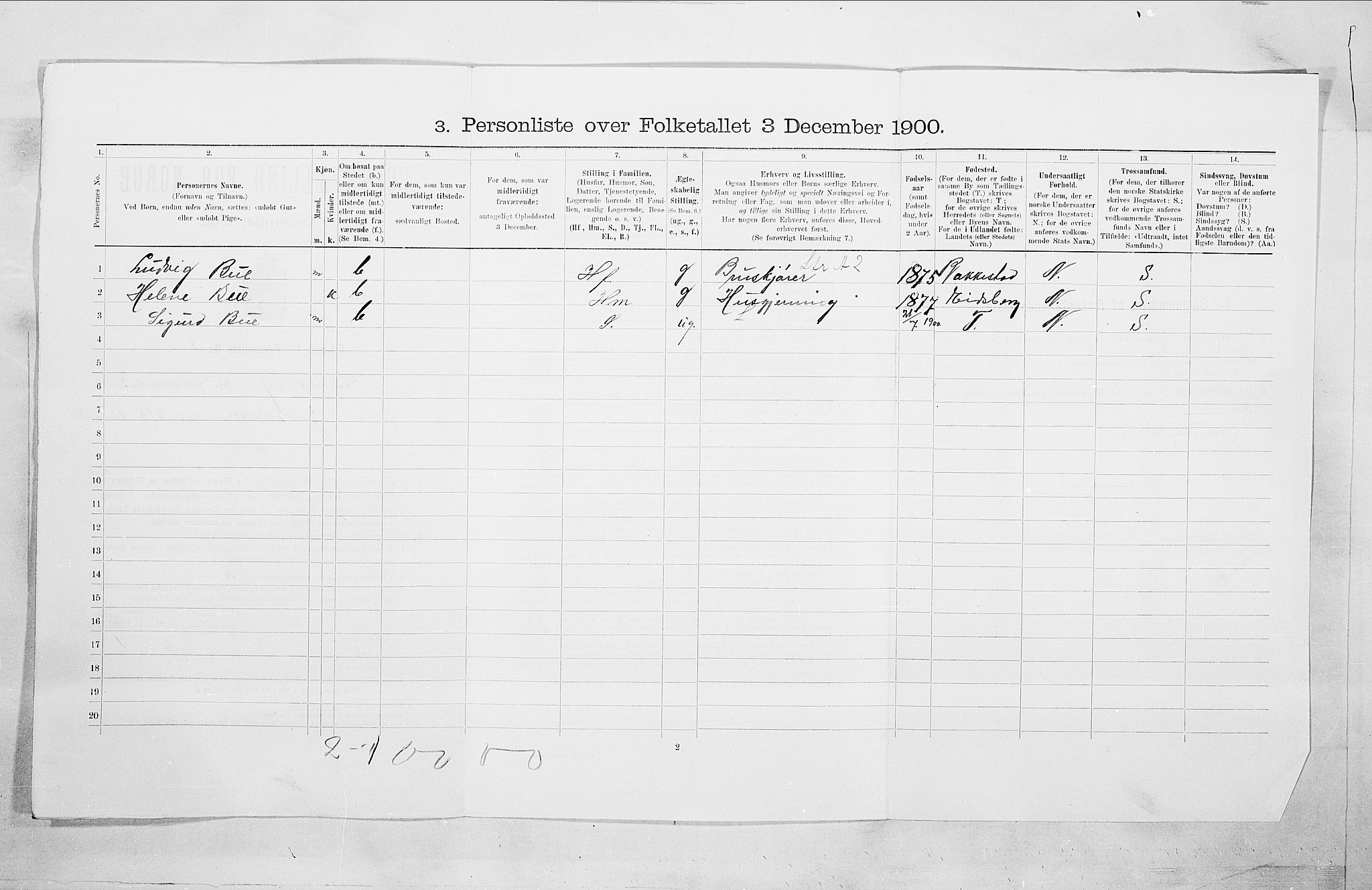 SAO, 1900 census for Sarpsborg, 1900