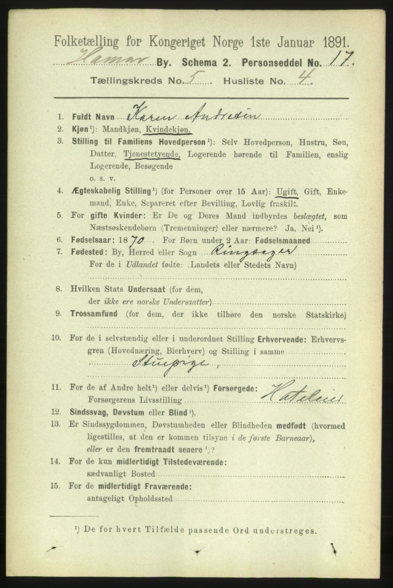 RA, 1891 census for 0401 Hamar, 1891, p. 3751