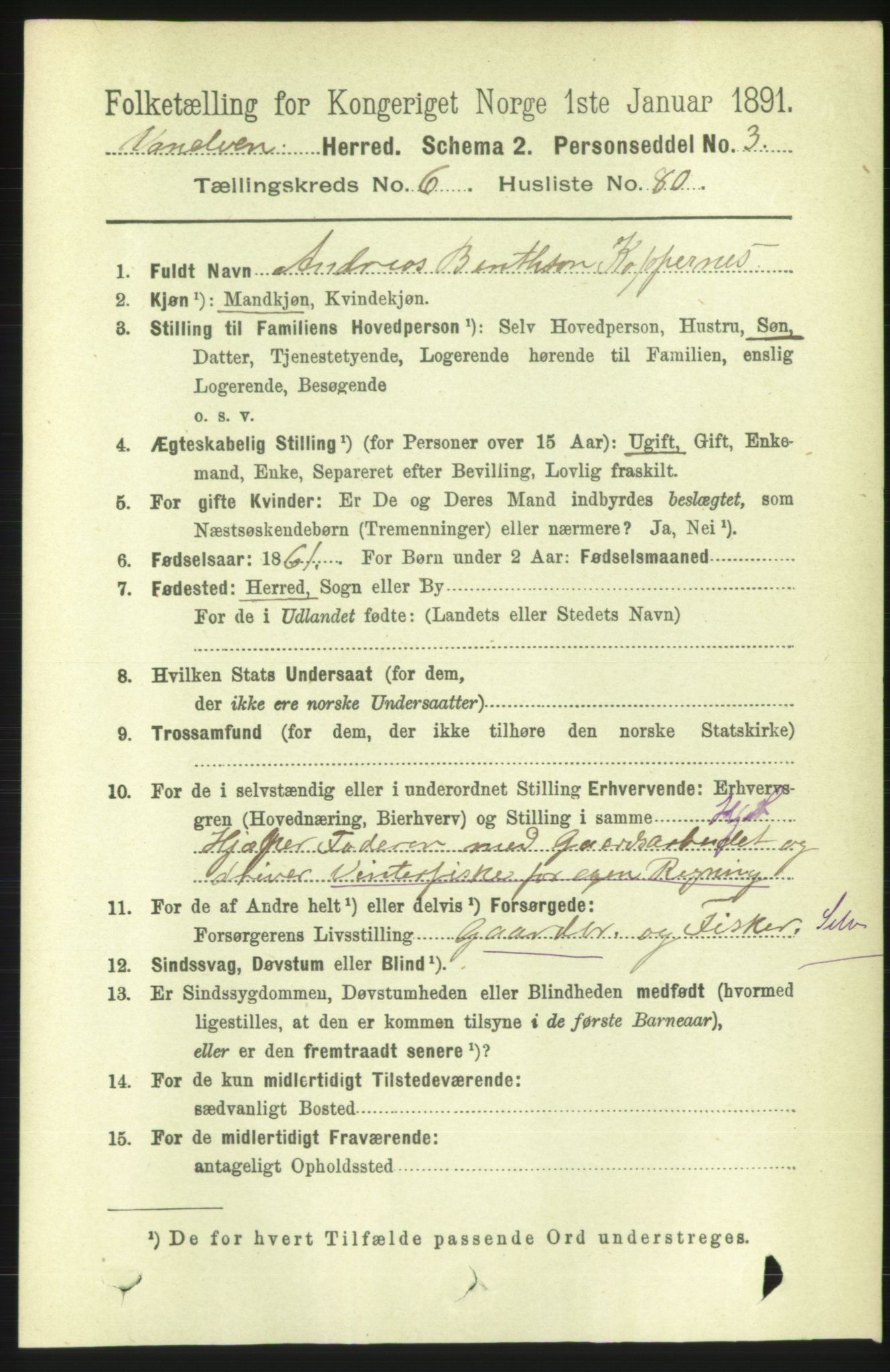 RA, 1891 census for 1511 Vanylven, 1891, p. 3087