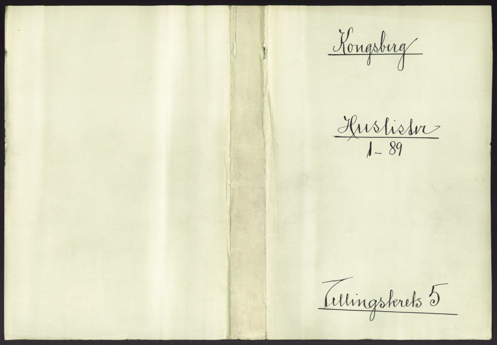 RA, 1891 census for 0604 Kongsberg, 1891, p. 747