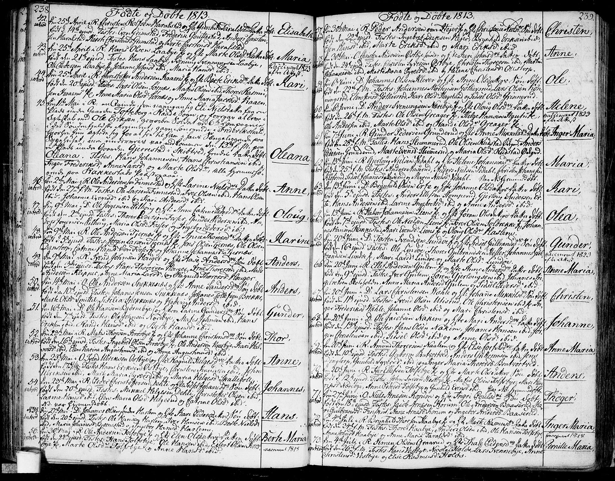 Rakkestad prestekontor Kirkebøker, SAO/A-2008/F/Fa/L0005: Parish register (official) no. I 5, 1784-1814, p. 238-239