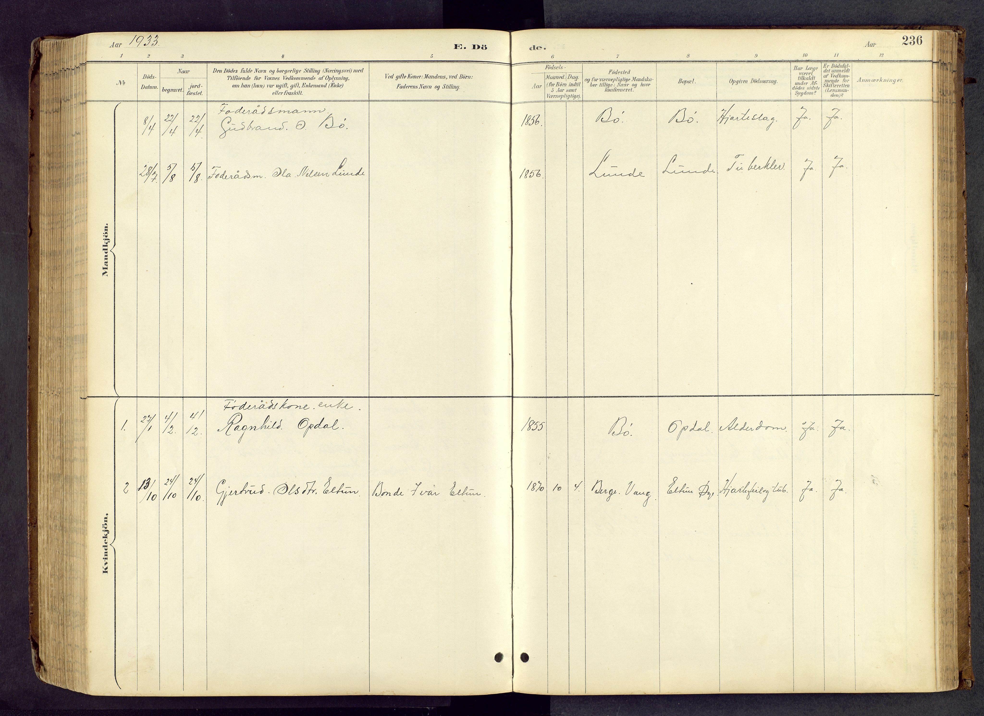 Vang prestekontor, Valdres, SAH/PREST-140/H/Hb/L0005: Parish register (copy) no. 5, 1889-1945, p. 236