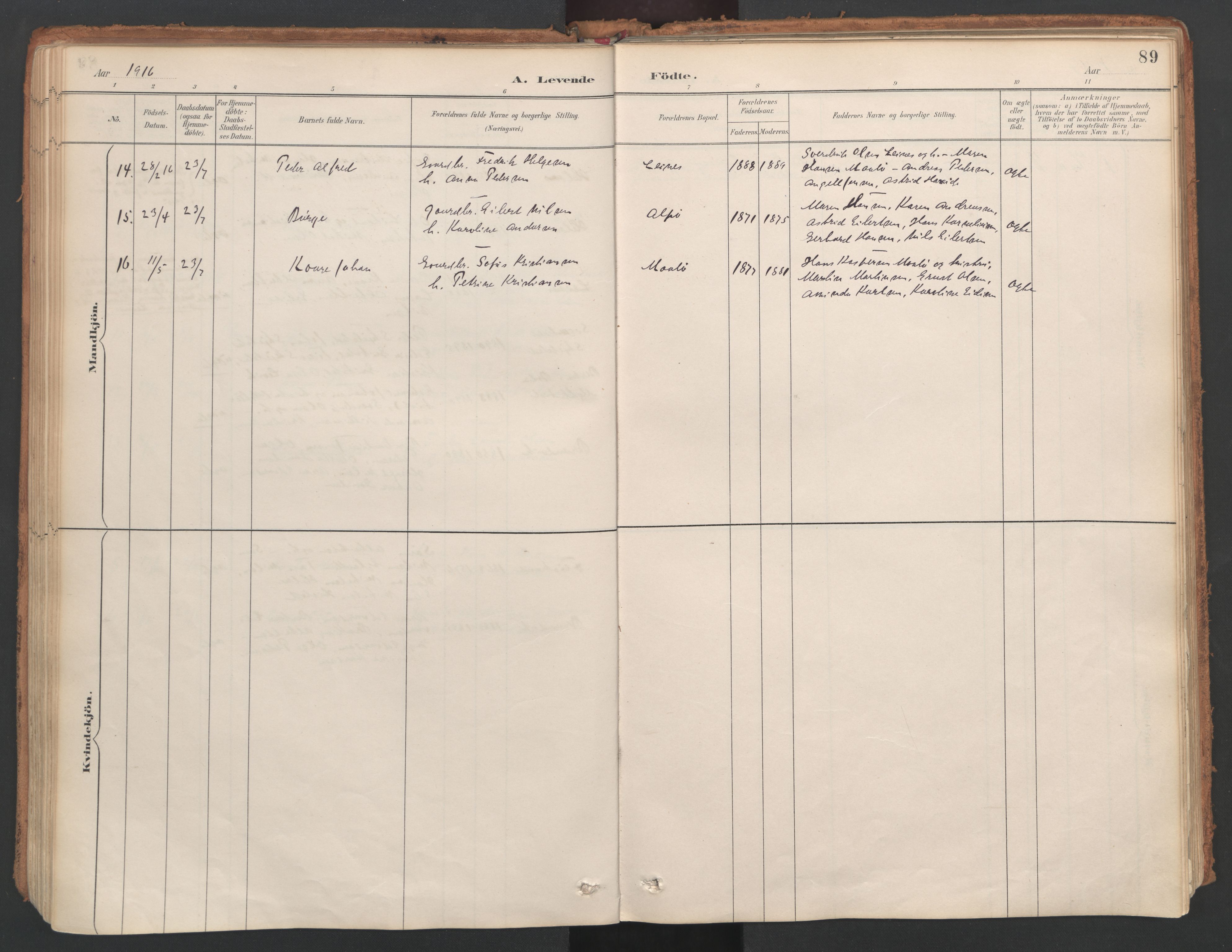 Ministerialprotokoller, klokkerbøker og fødselsregistre - Nordland, AV/SAT-A-1459/857/L0822: Parish register (official) no. 857A02, 1890-1917, p. 89