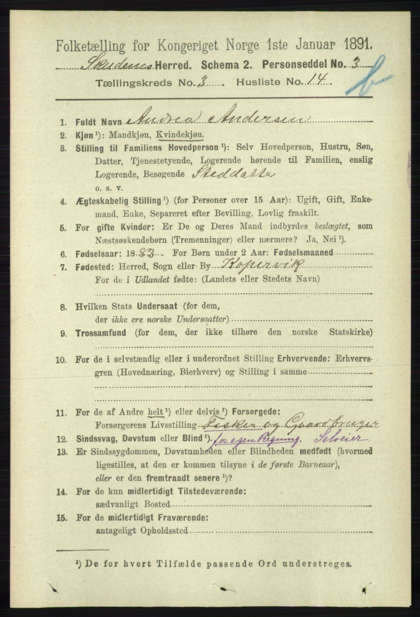 RA, 1891 census for 1150 Skudenes, 1891, p. 4069