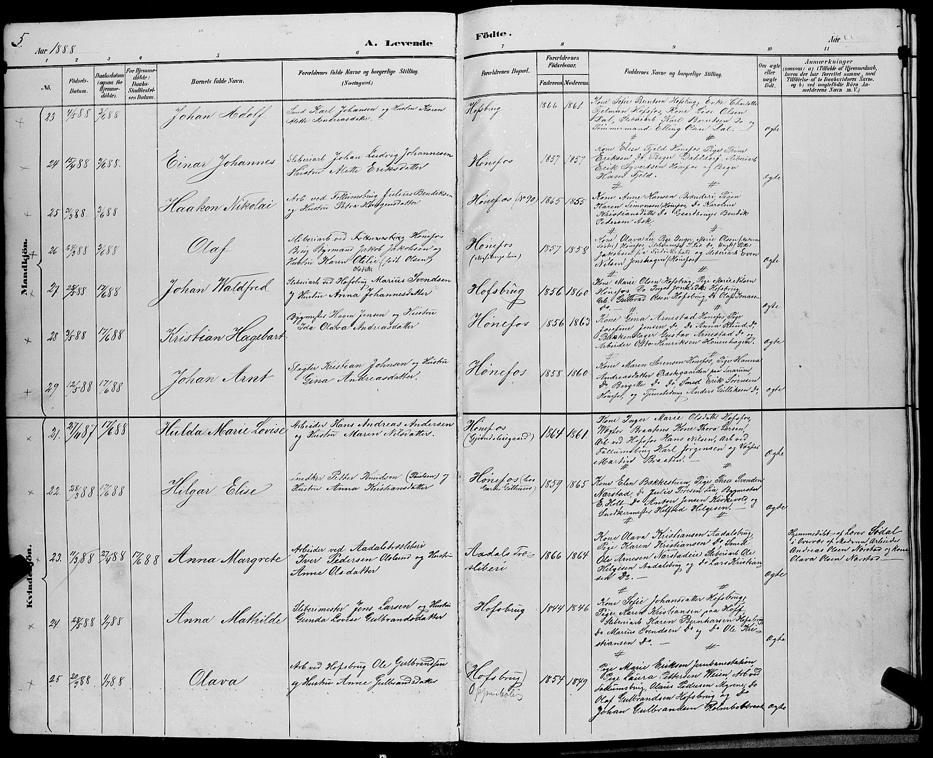 Hønefoss kirkebøker, AV/SAKO-A-609/G/Ga/L0002: Parish register (copy) no. 2, 1888-1904, p. 5