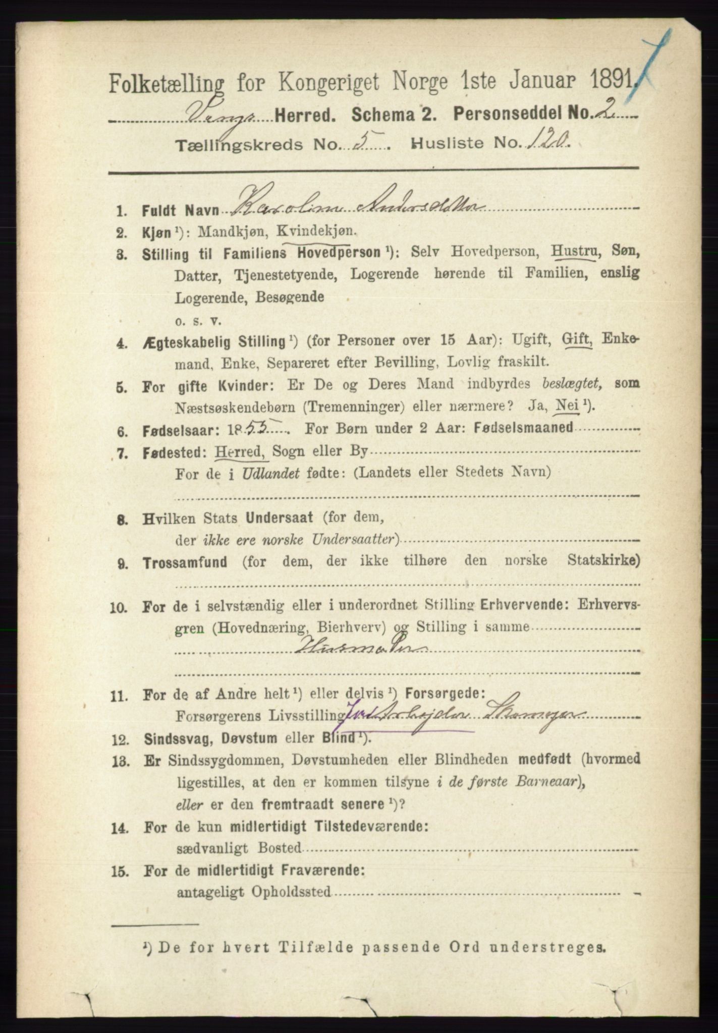 RA, 1891 census for 0414 Vang, 1891, p. 4152