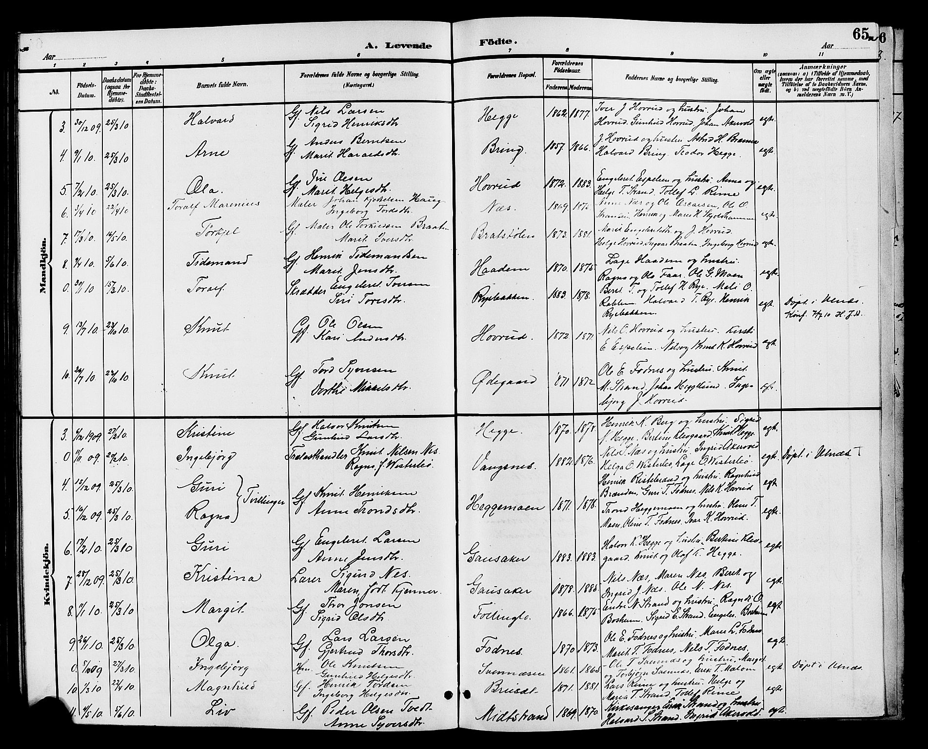 Nord-Aurdal prestekontor, SAH/PREST-132/H/Ha/Hab/L0007: Parish register (copy) no. 7, 1883-1910, p. 65