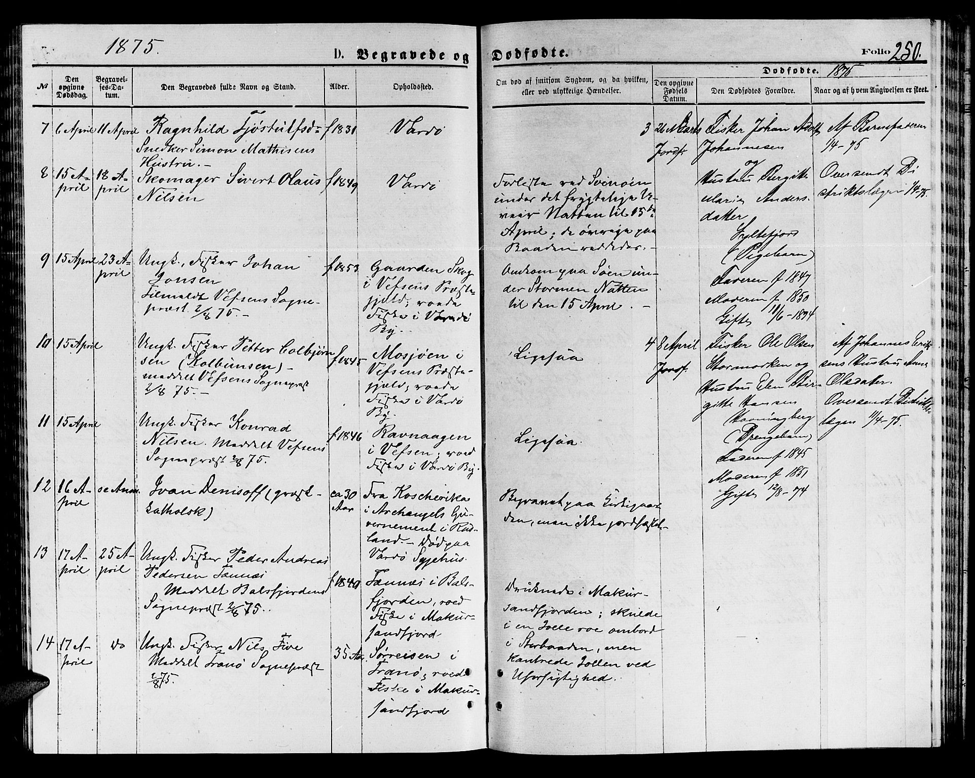 Vardø sokneprestkontor, SATØ/S-1332/H/Hb/L0003klokker: Parish register (copy) no. 3, 1871-1878, p. 250