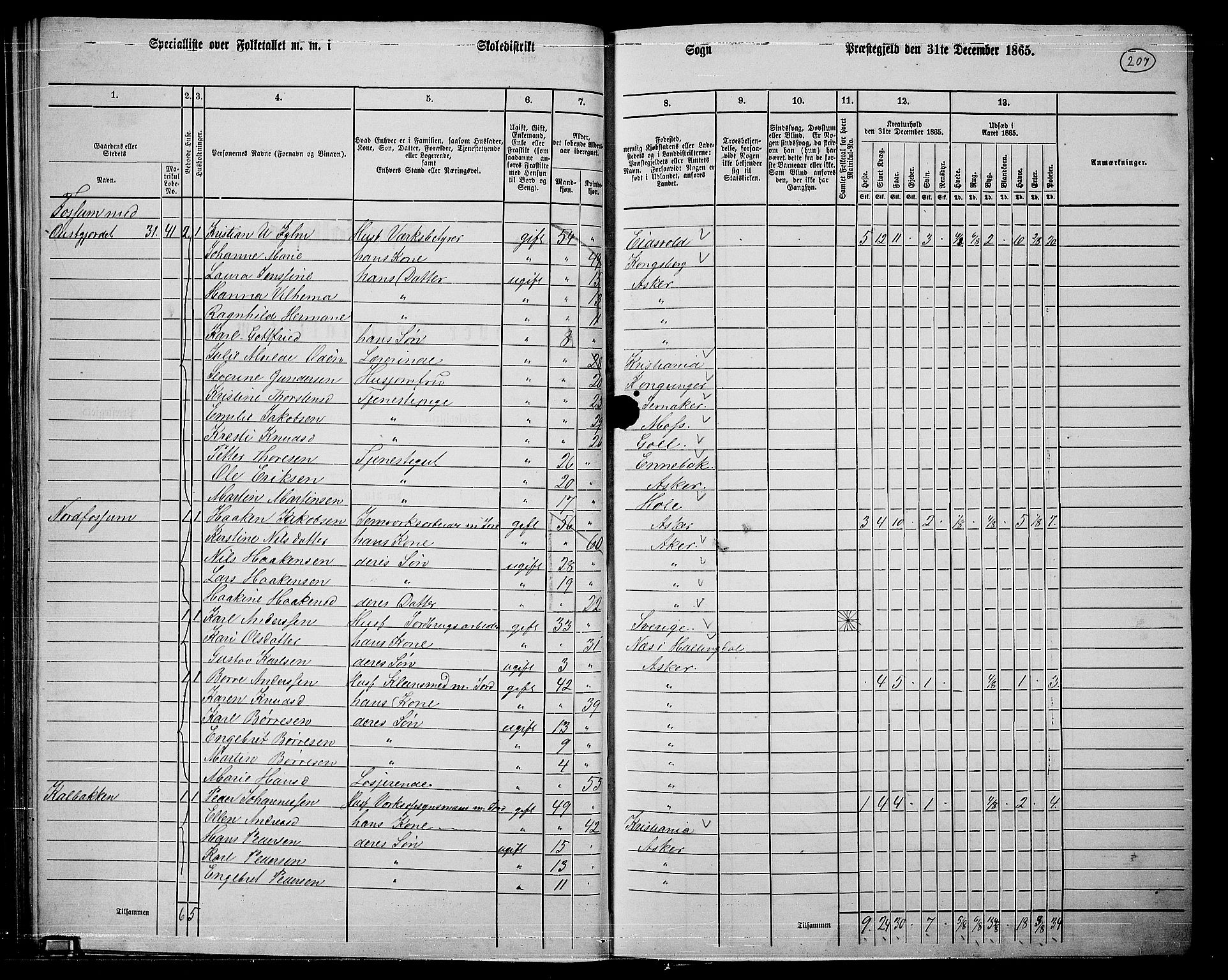 RA, 1865 census for Asker, 1865, p. 199