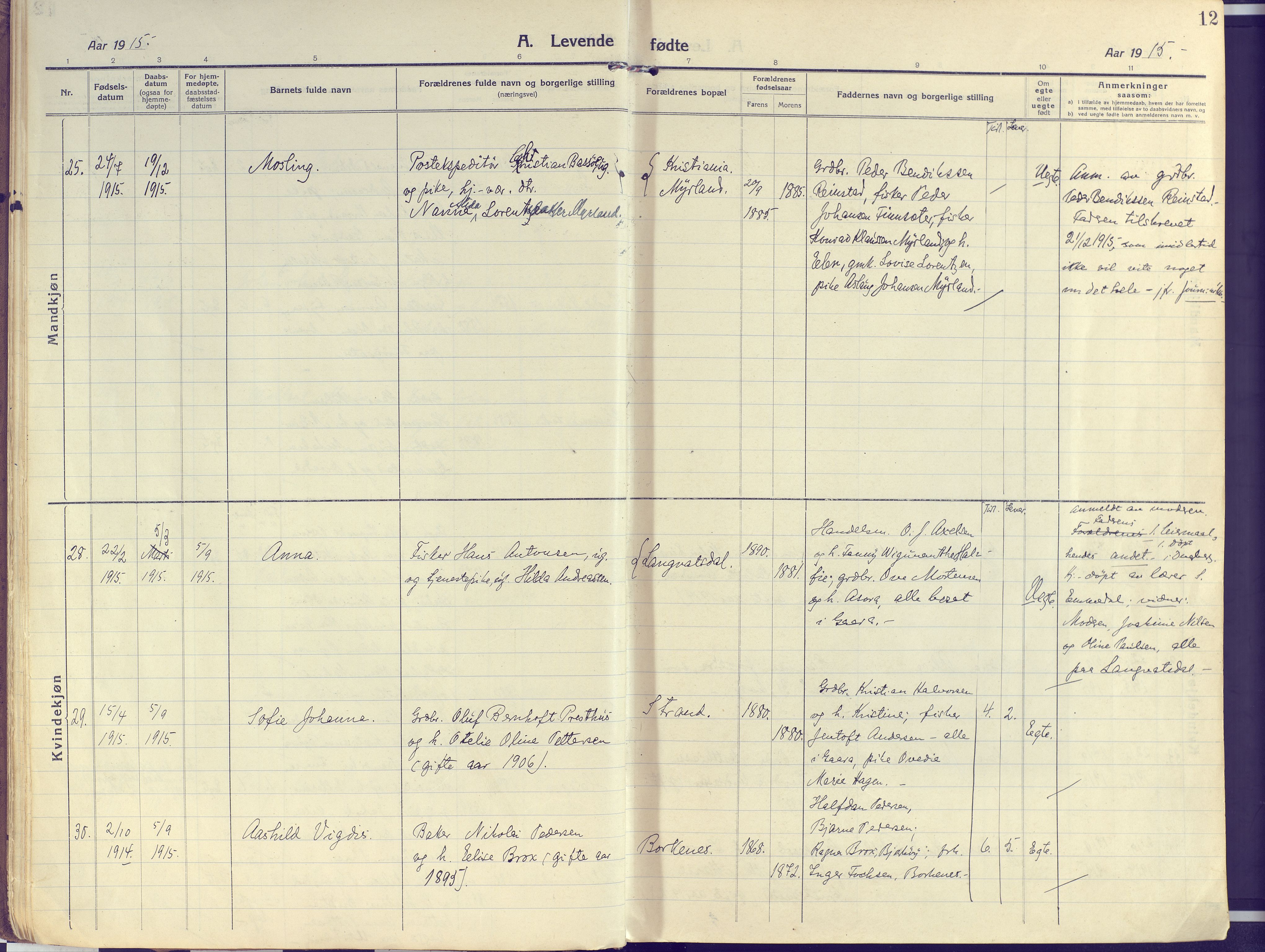 Kvæfjord sokneprestkontor, AV/SATØ-S-1323/G/Ga/Gaa/L0007kirke: Parish register (official) no. 7, 1915-1931, p. 12