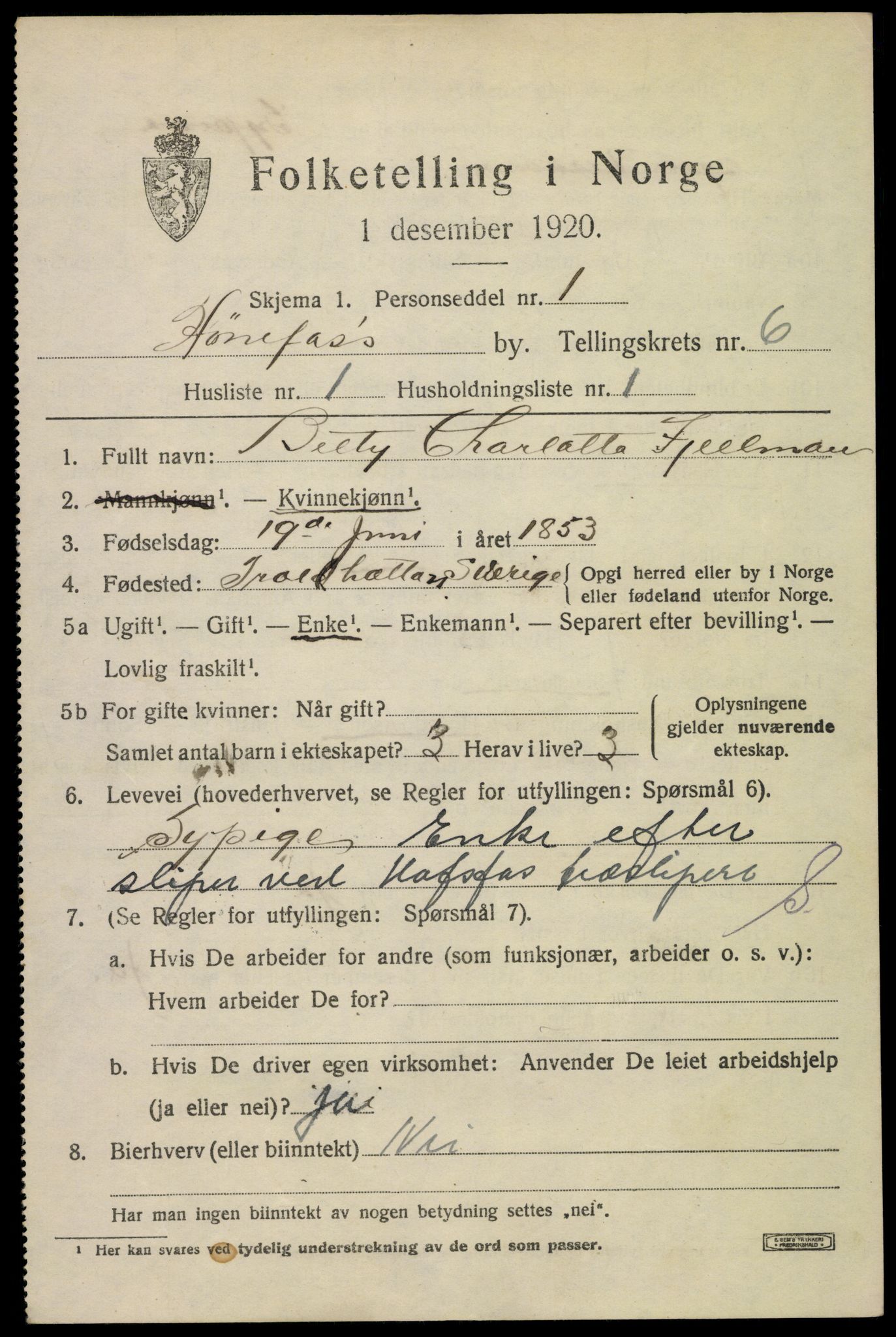 SAKO, 1920 census for Hønefoss, 1920, p. 6998