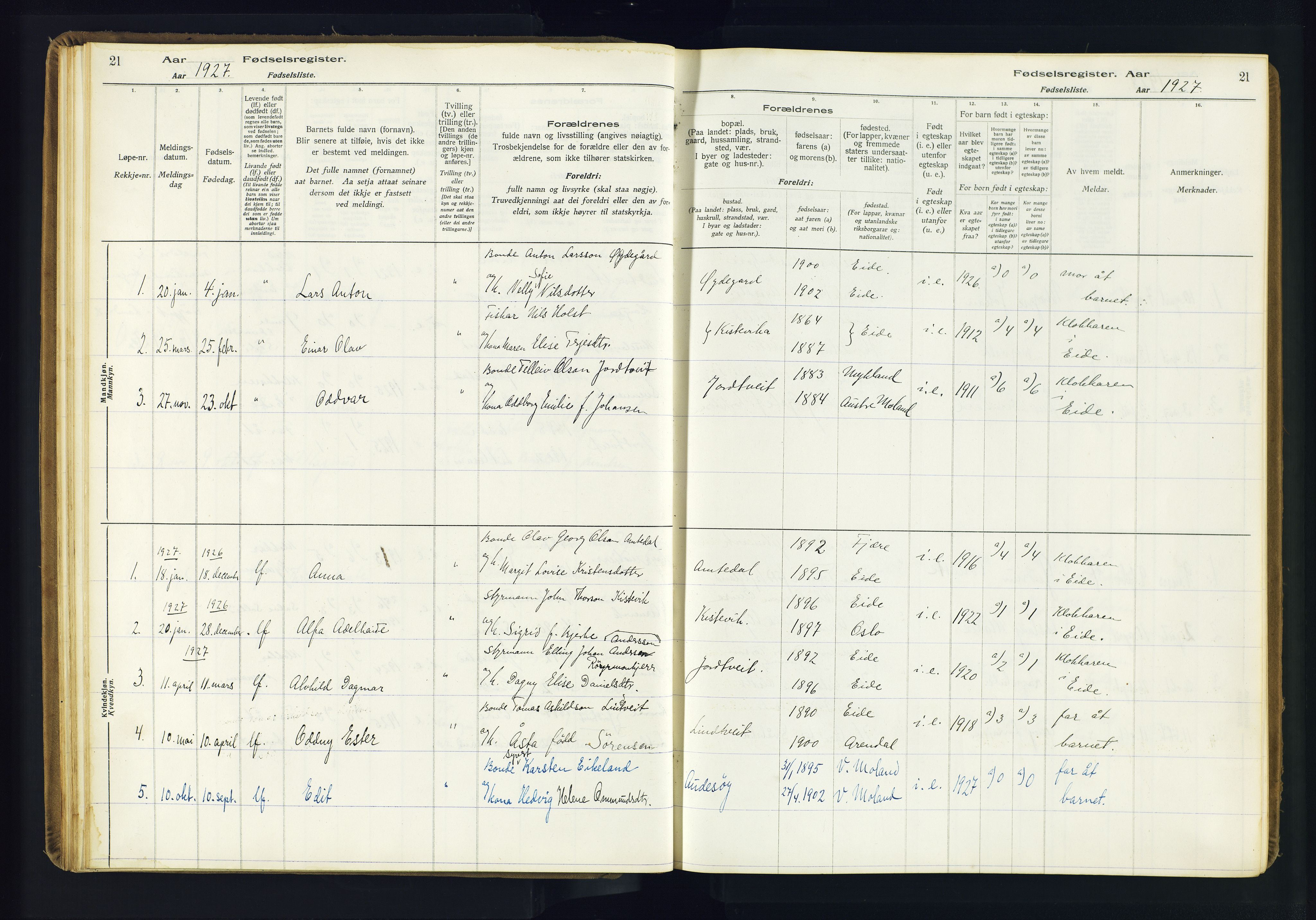 Hommedal sokneprestkontor, SAK/1111-0023/J/Jd/L0003: Birth register no. 3, 1916-1982, p. 21