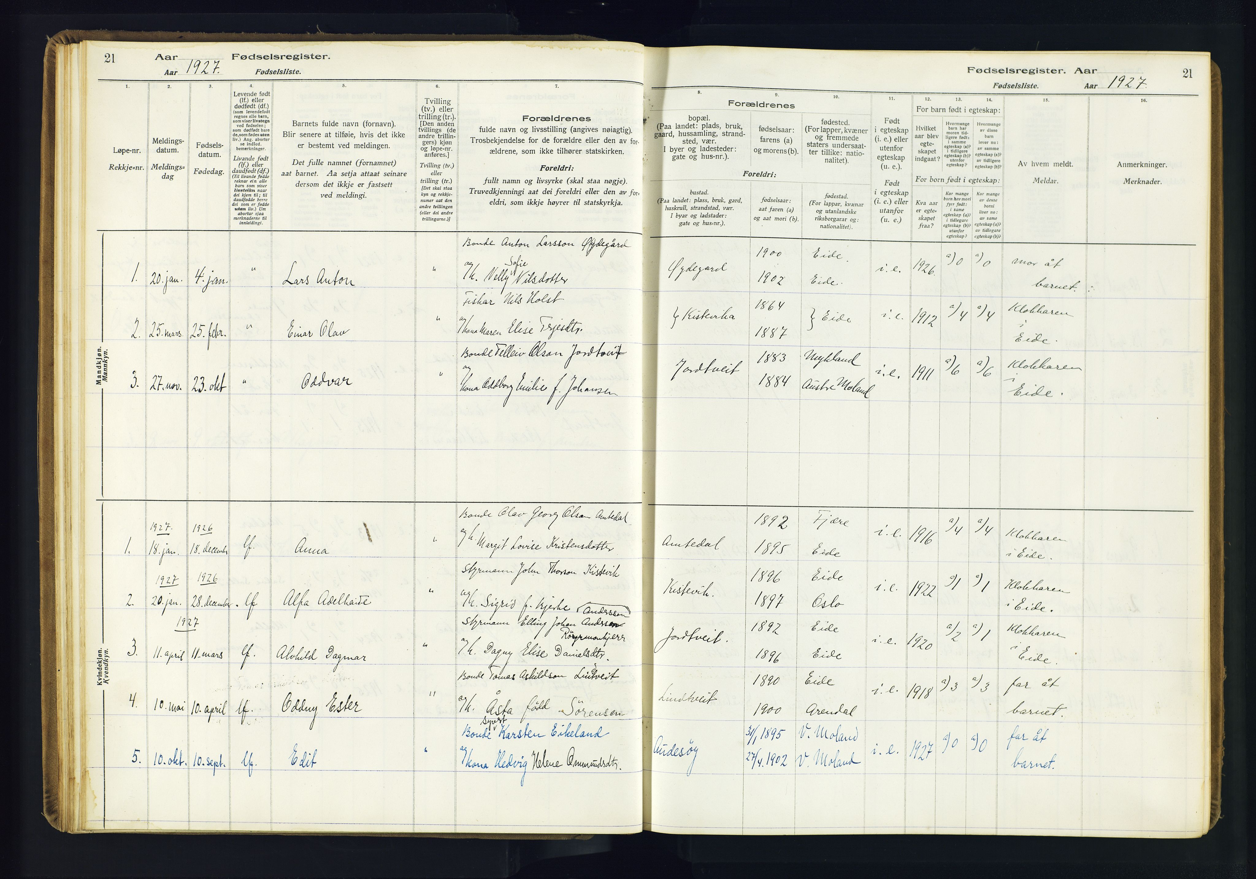 Hommedal sokneprestkontor, AV/SAK-1111-0023/J/Jd/L0003: Birth register no. 3, 1916-1982, p. 21