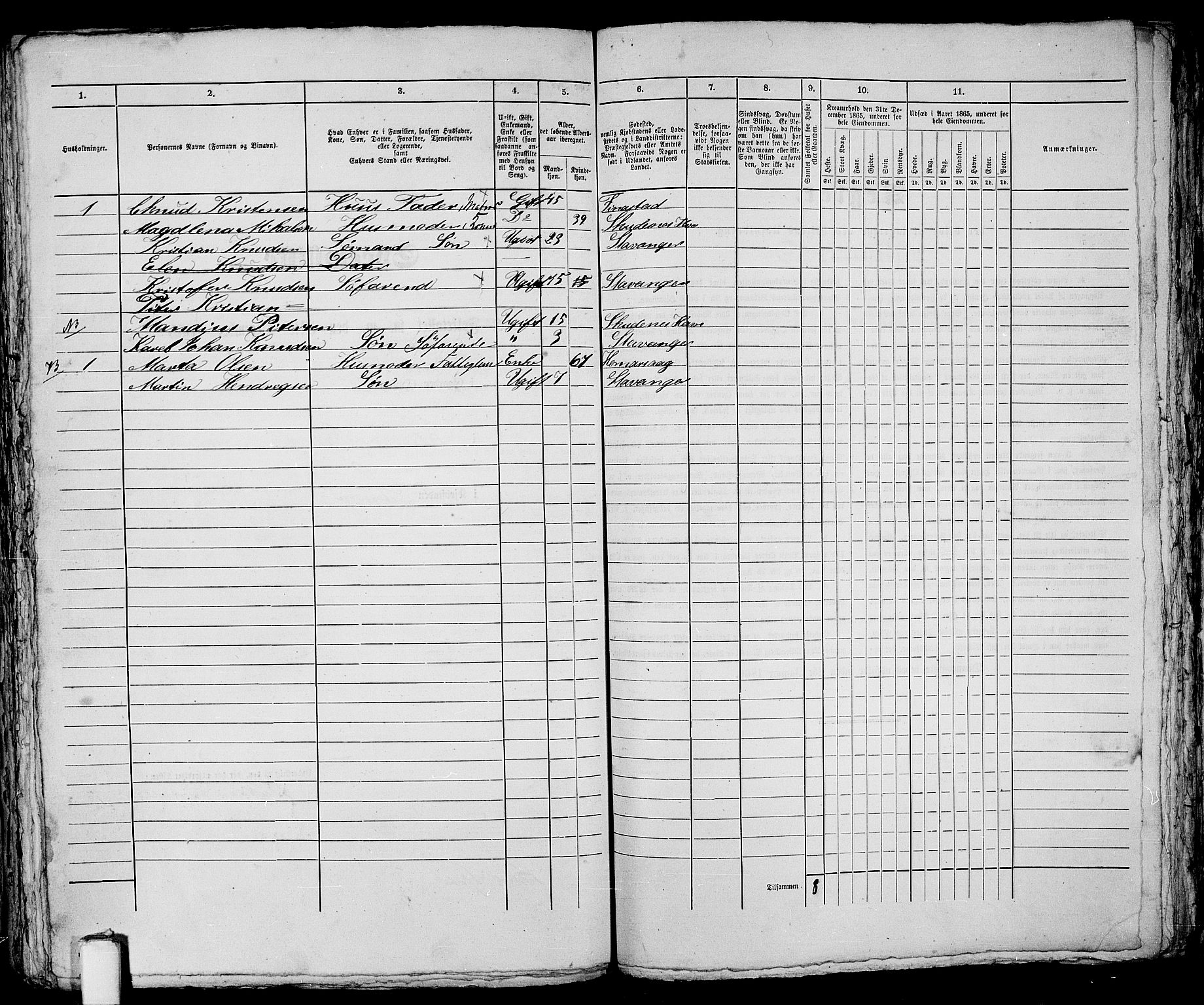 RA, 1865 census for Stavanger, 1865, p. 465