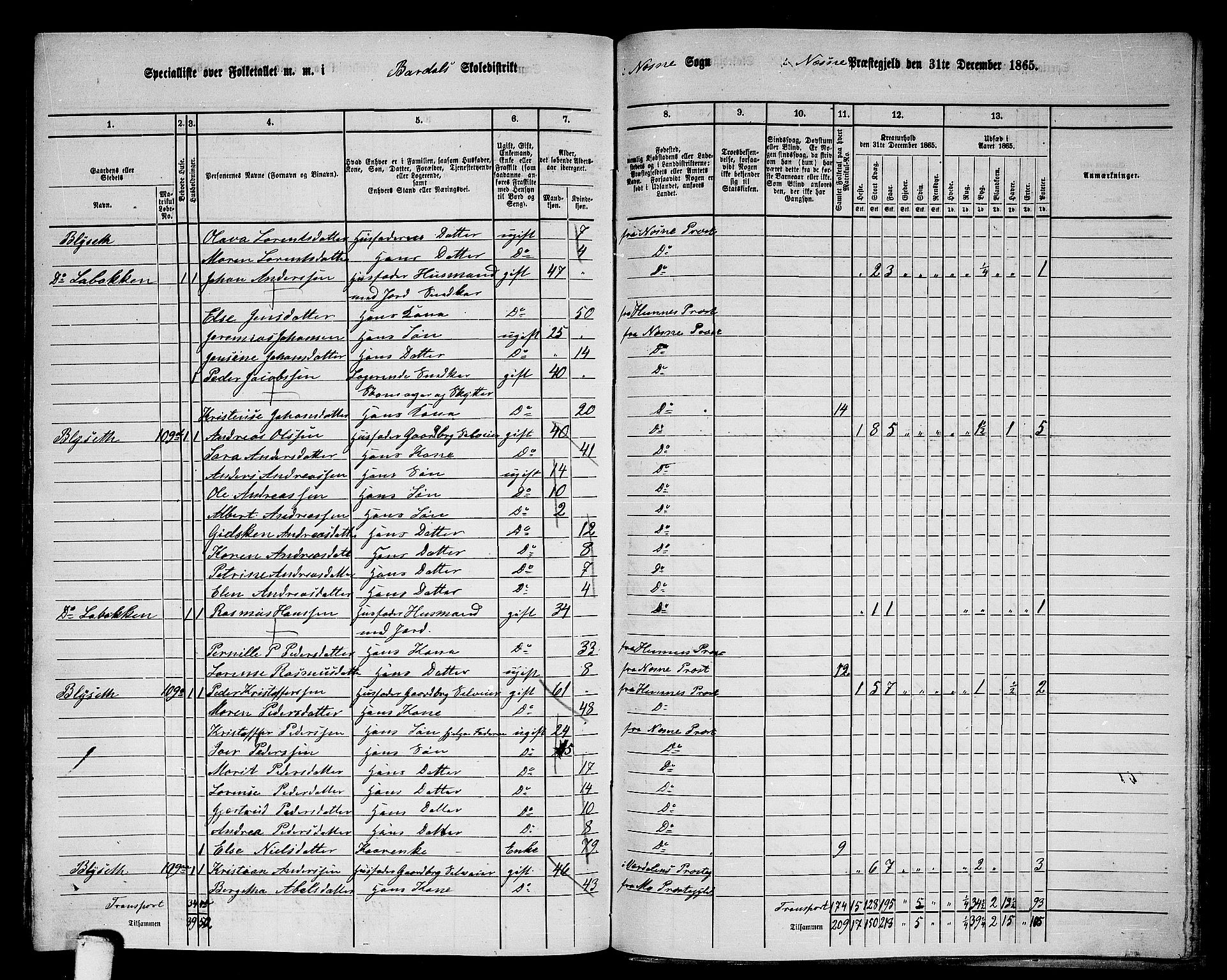 RA, 1865 census for Nesna, 1865, p. 155