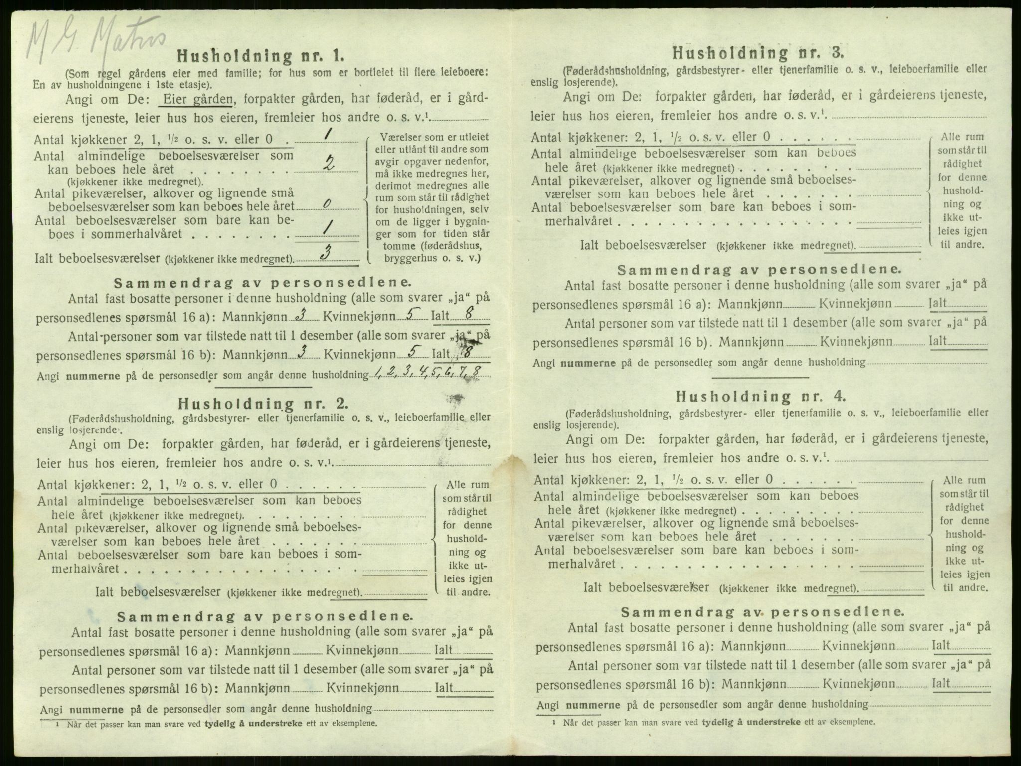 SAKO, 1920 census for Nøtterøy, 1920, p. 877