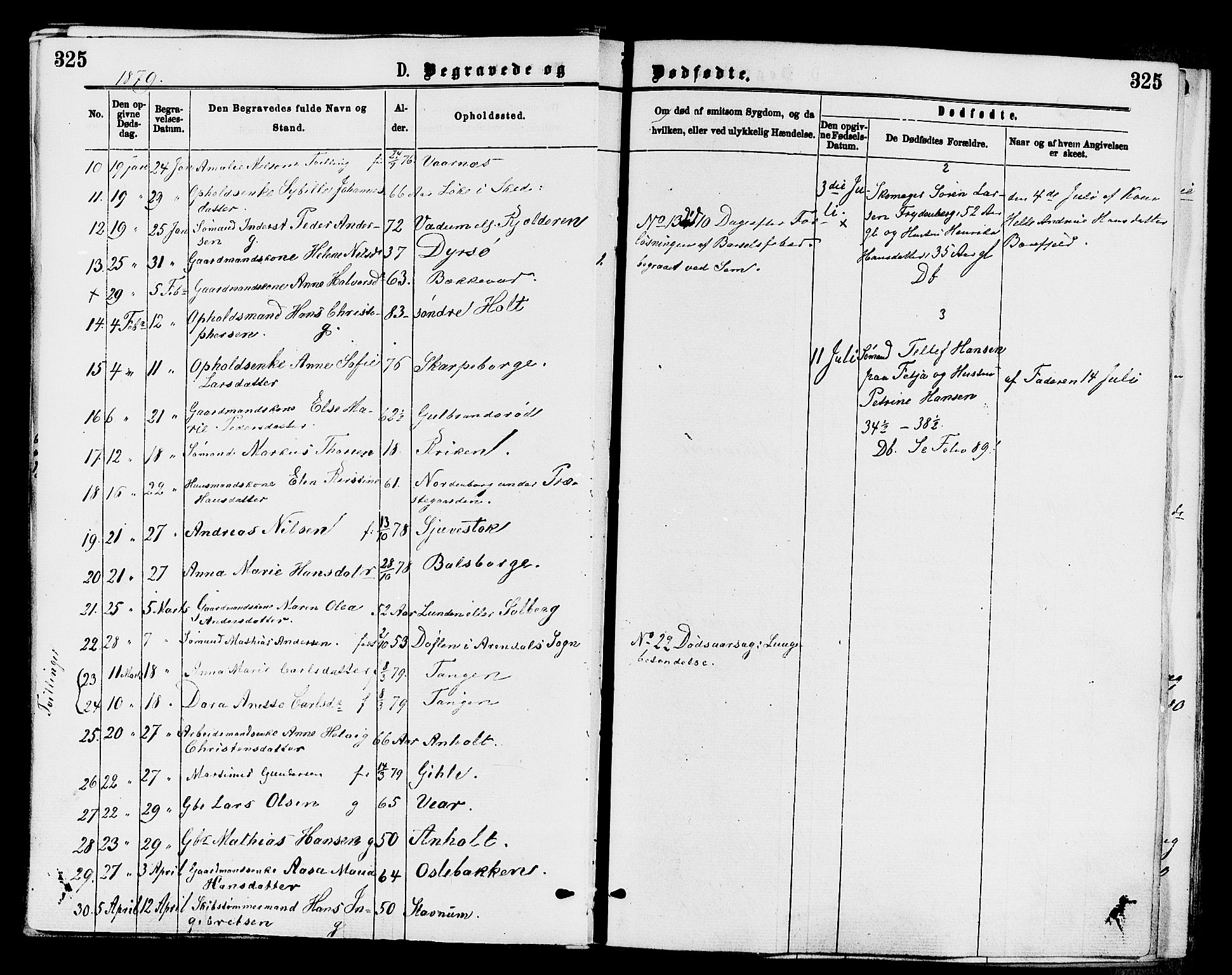 Stokke kirkebøker, AV/SAKO-A-320/F/Fa/L0009: Parish register (official) no. I 9, 1872-1883, p. 325