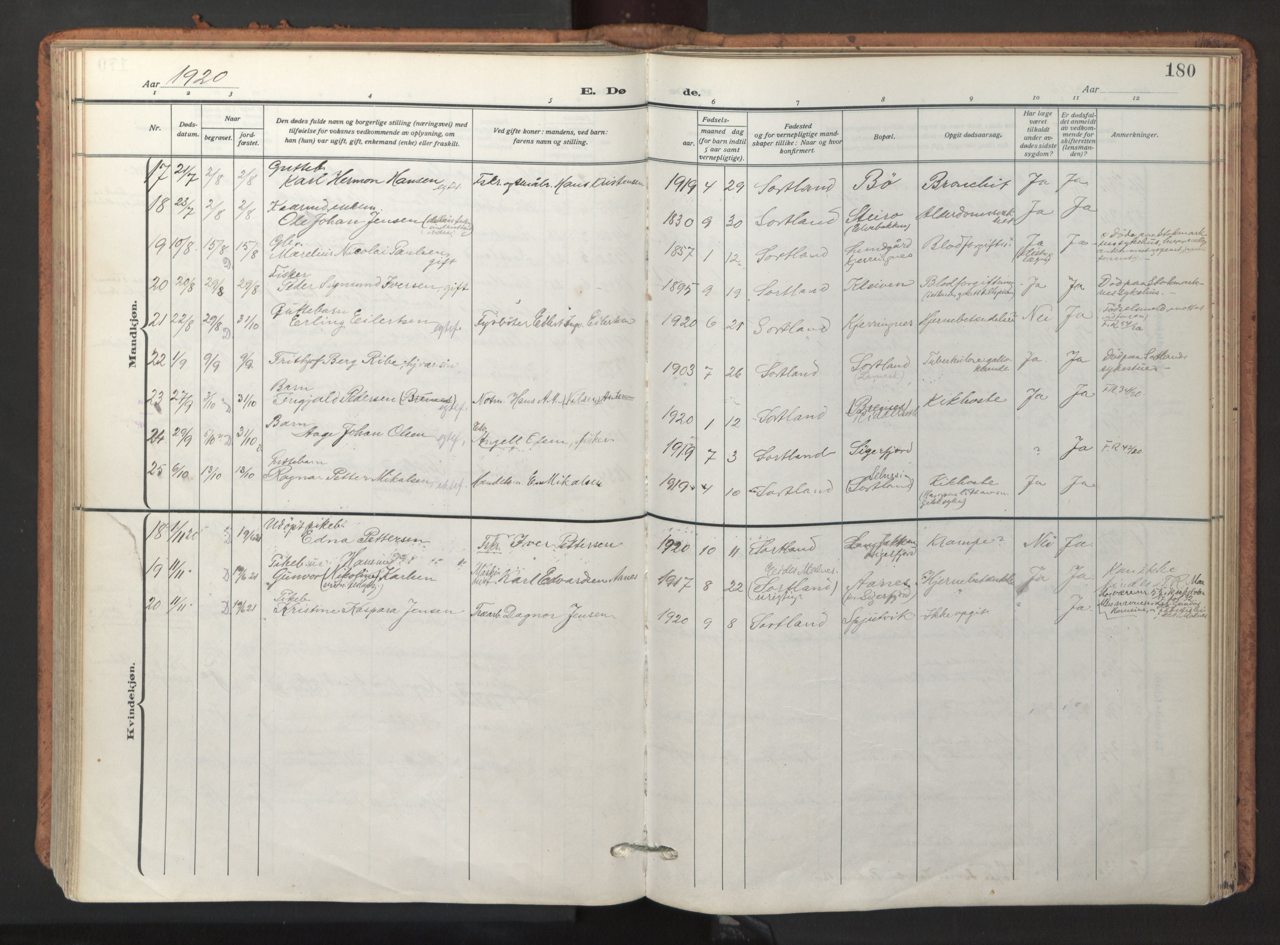 Ministerialprotokoller, klokkerbøker og fødselsregistre - Nordland, AV/SAT-A-1459/895/L1374: Parish register (official) no. 895A09, 1915-1925, p. 180