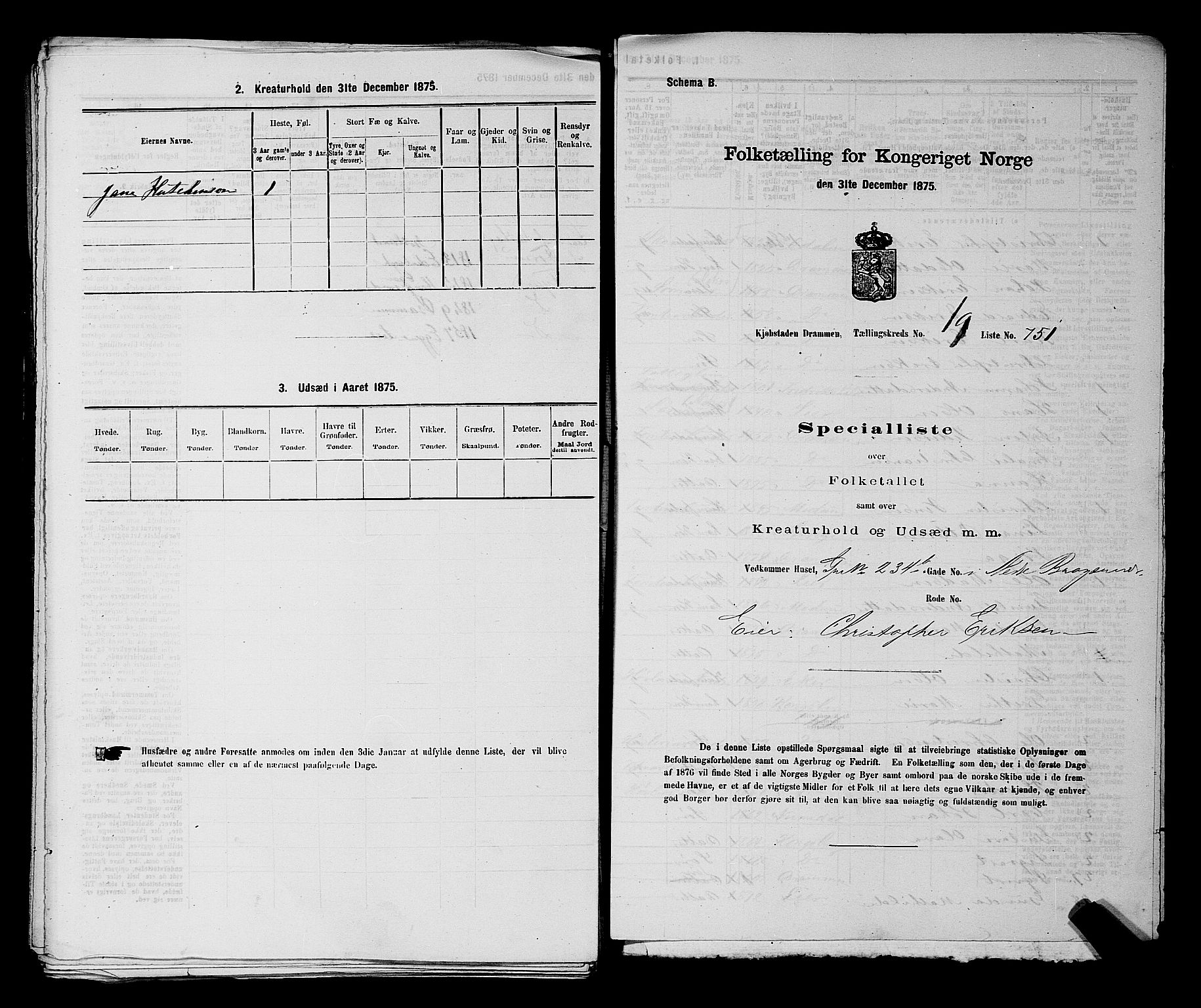 SAKO, 1875 census for 0602 Drammen, 1875, p. 2076