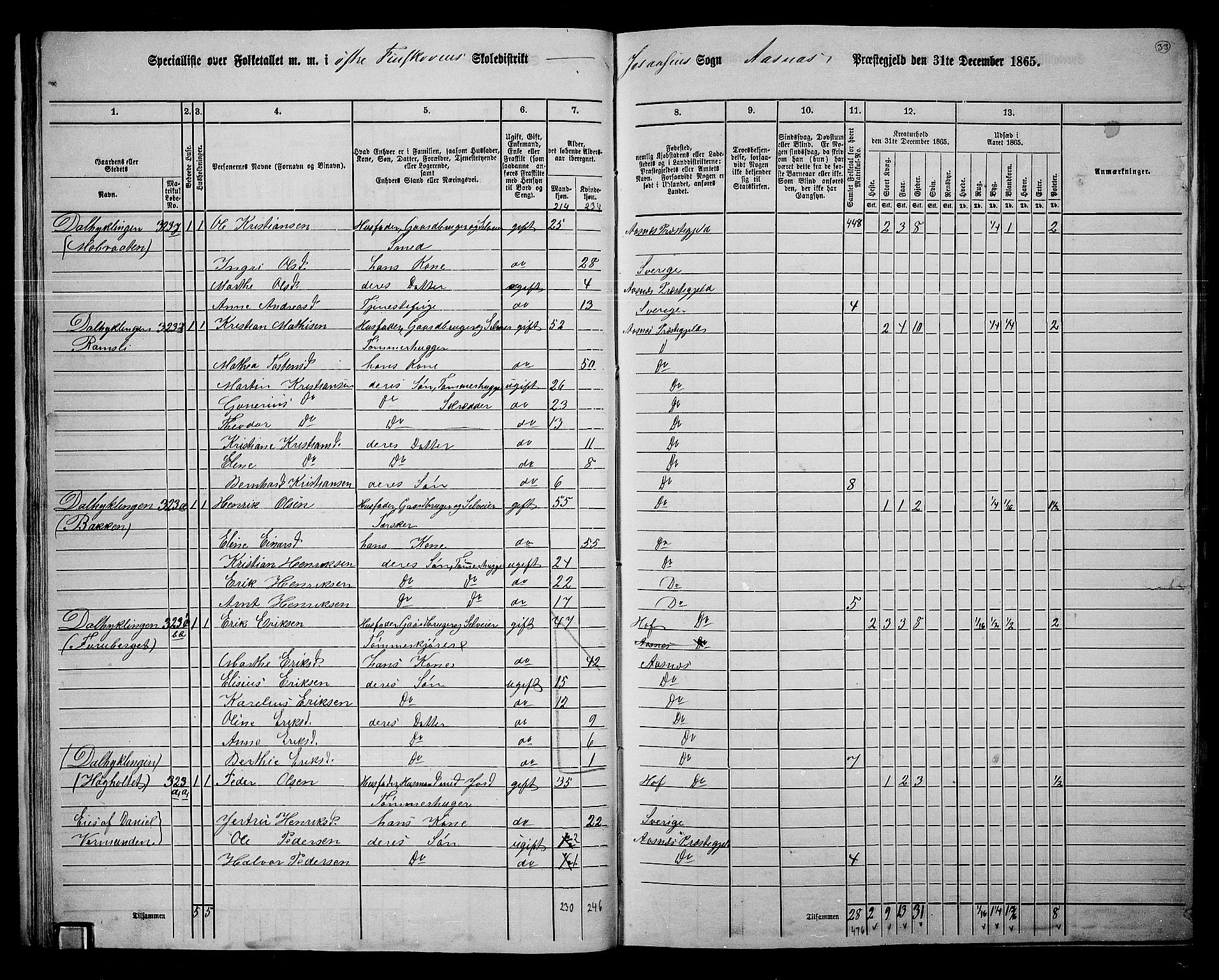 RA, 1865 census for Åsnes, 1865, p. 30