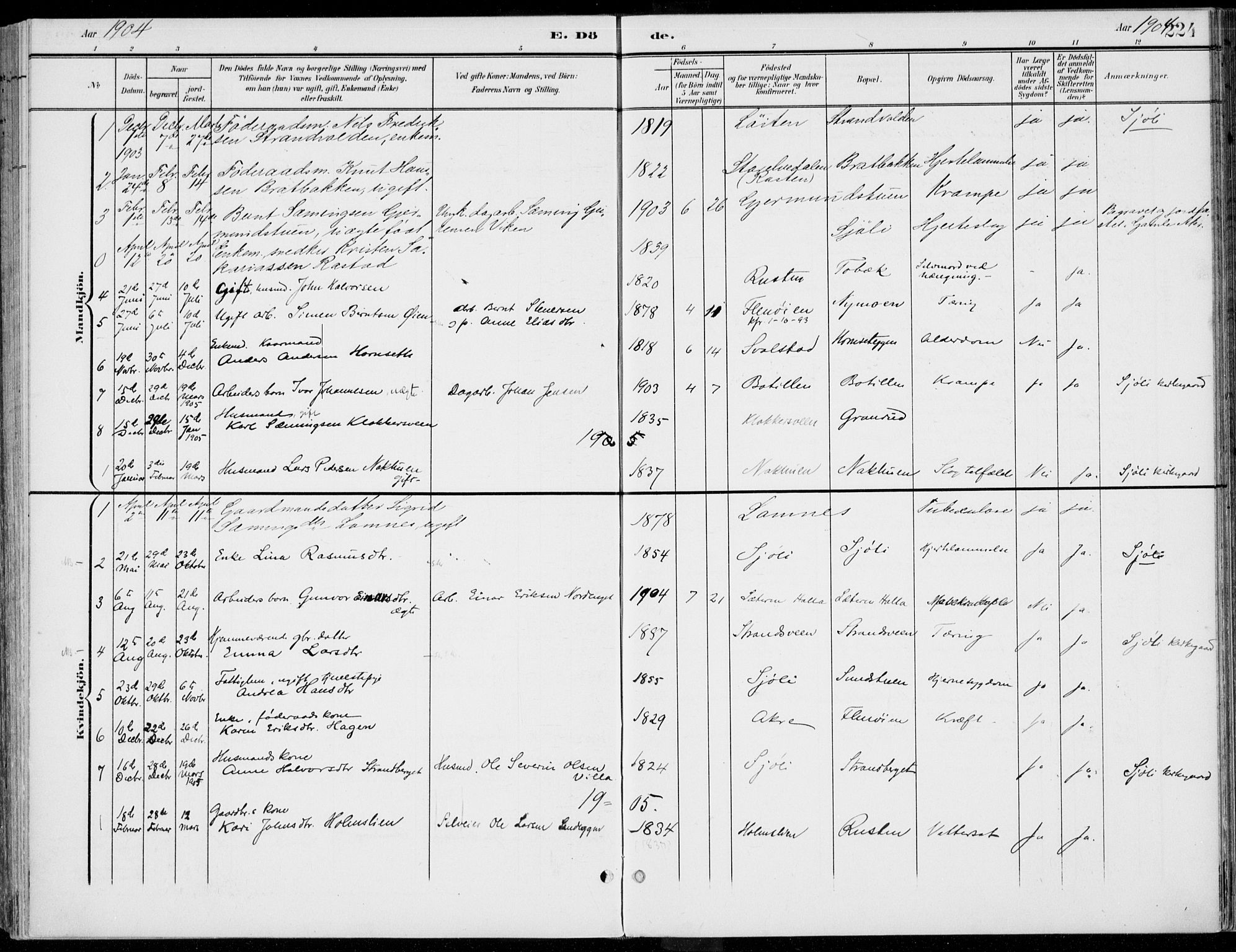 Rendalen prestekontor, SAH/PREST-054/H/Ha/Haa/L0011: Parish register (official) no. 11, 1901-1925, p. 224
