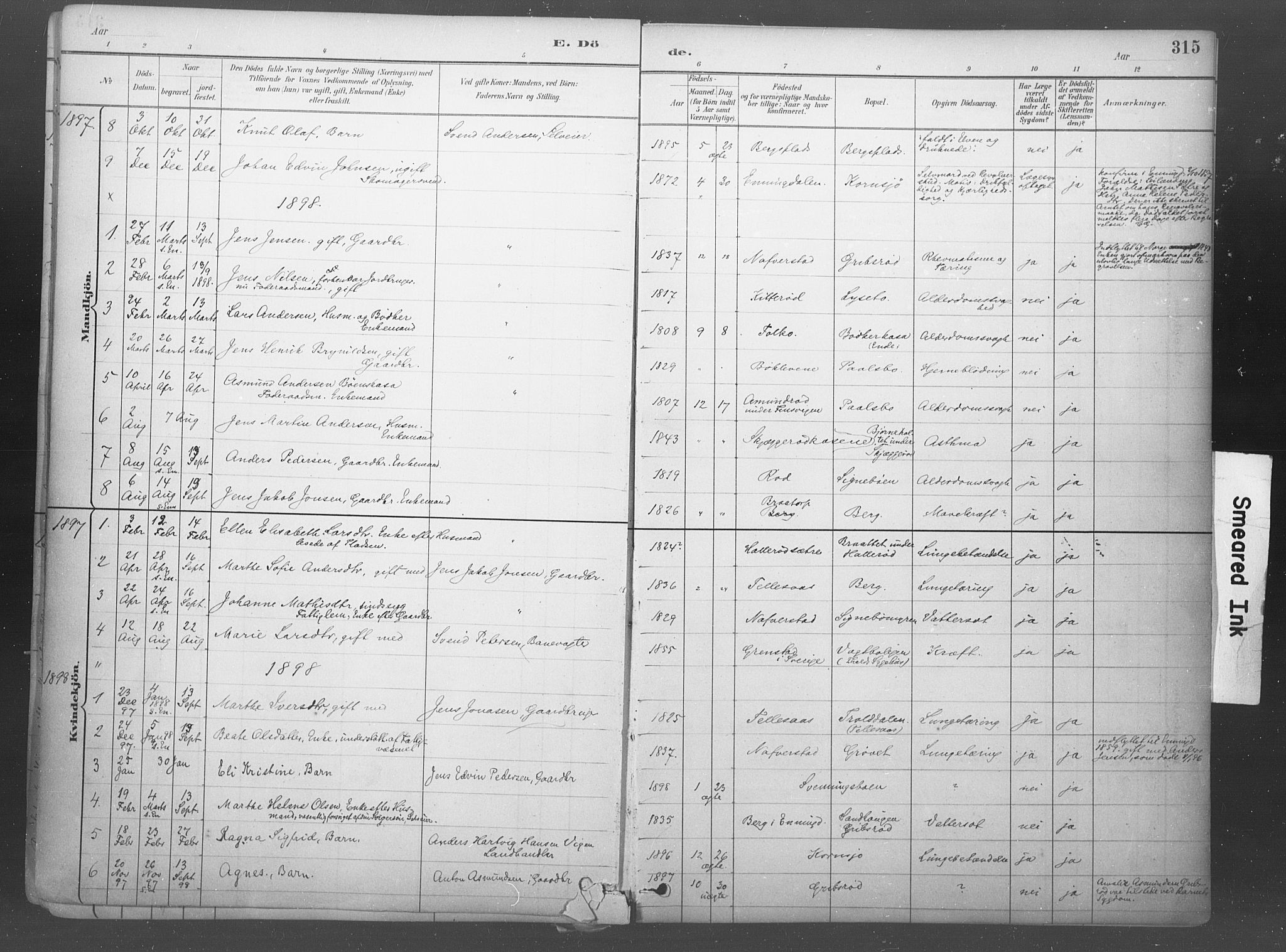 Idd prestekontor Kirkebøker, SAO/A-10911/F/Fb/L0002: Parish register (official) no. II 2, 1882-1923, p. 315