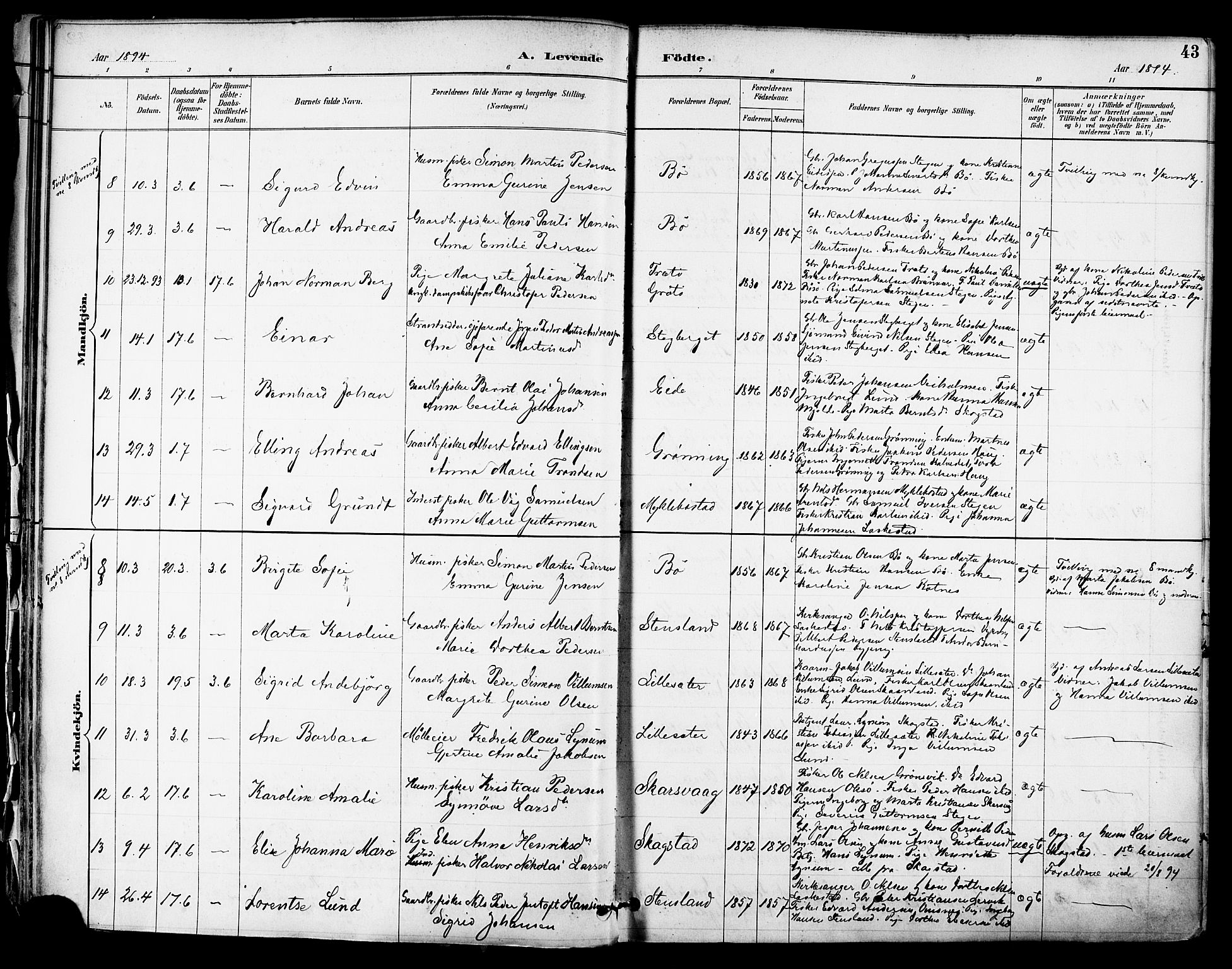 Ministerialprotokoller, klokkerbøker og fødselsregistre - Nordland, AV/SAT-A-1459/855/L0803: Parish register (official) no. 855A11, 1887-1905, p. 43