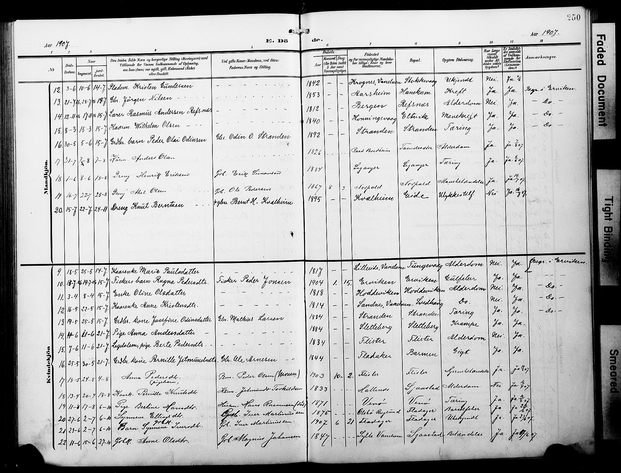 Selje sokneprestembete, SAB/A-99938/H/Ha/Hab/Habb: Parish register (copy) no. B 1, 1905-1923, p. 250
