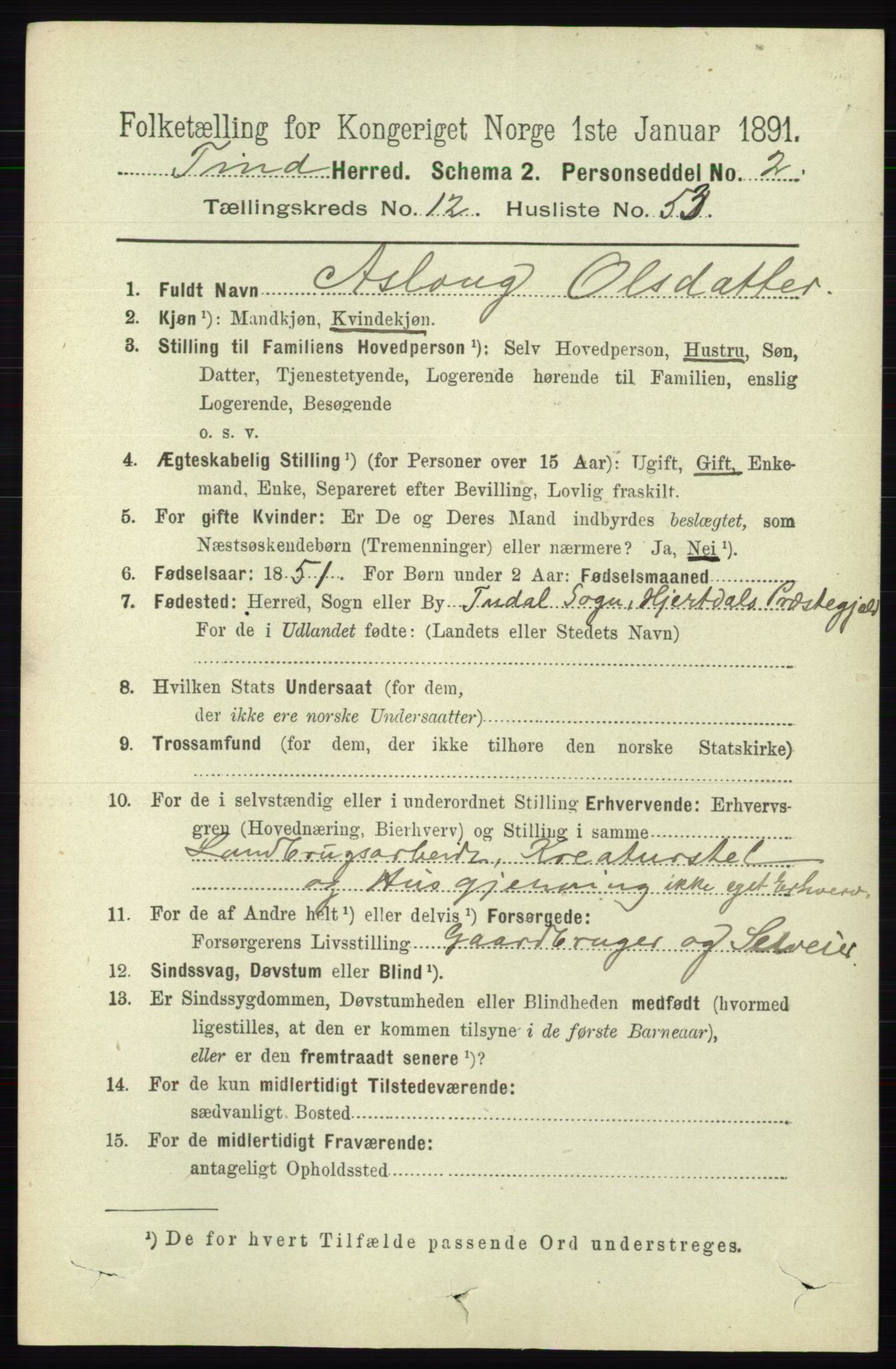 RA, 1891 census for 0826 Tinn, 1891, p. 2619