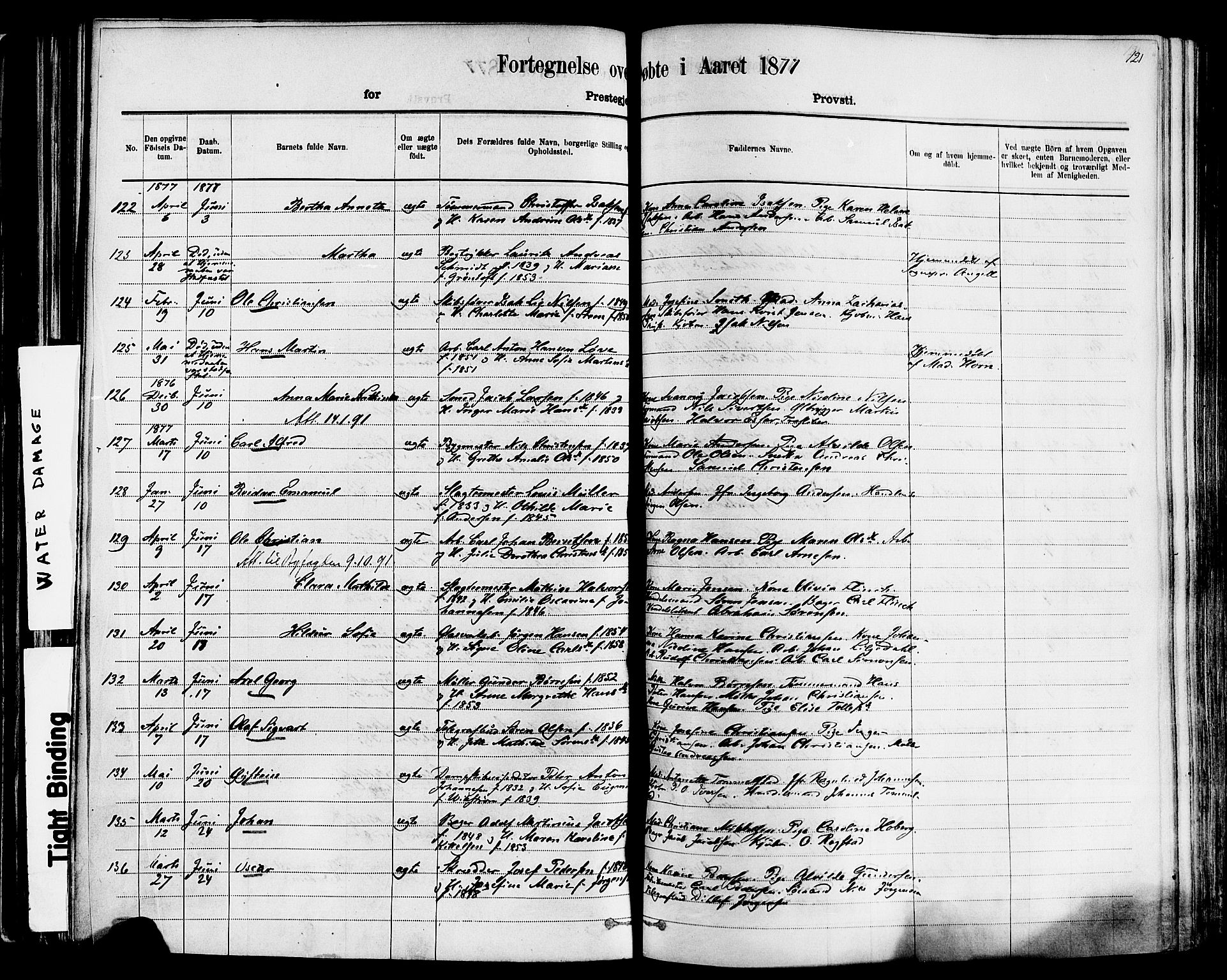 Larvik kirkebøker, AV/SAKO-A-352/F/Fa/L0006: Parish register (official) no. I 6, 1871-1883, p. 121