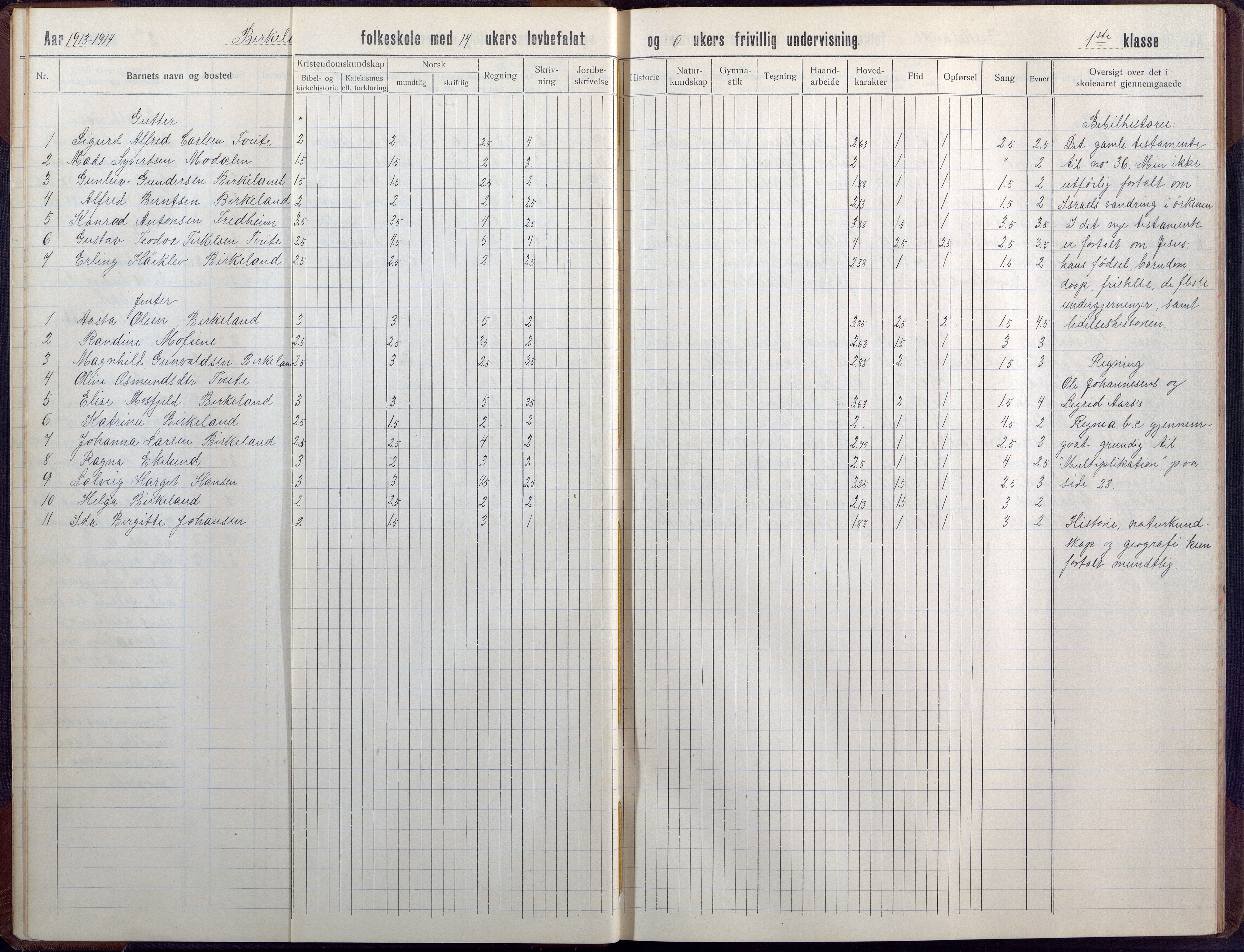 Birkenes kommune, Birkenes krets/Birkeland folkeskole frem til 1991, AAKS/KA0928-550a_91/F02/L0008: Skoleprotokoll, 1911-1930