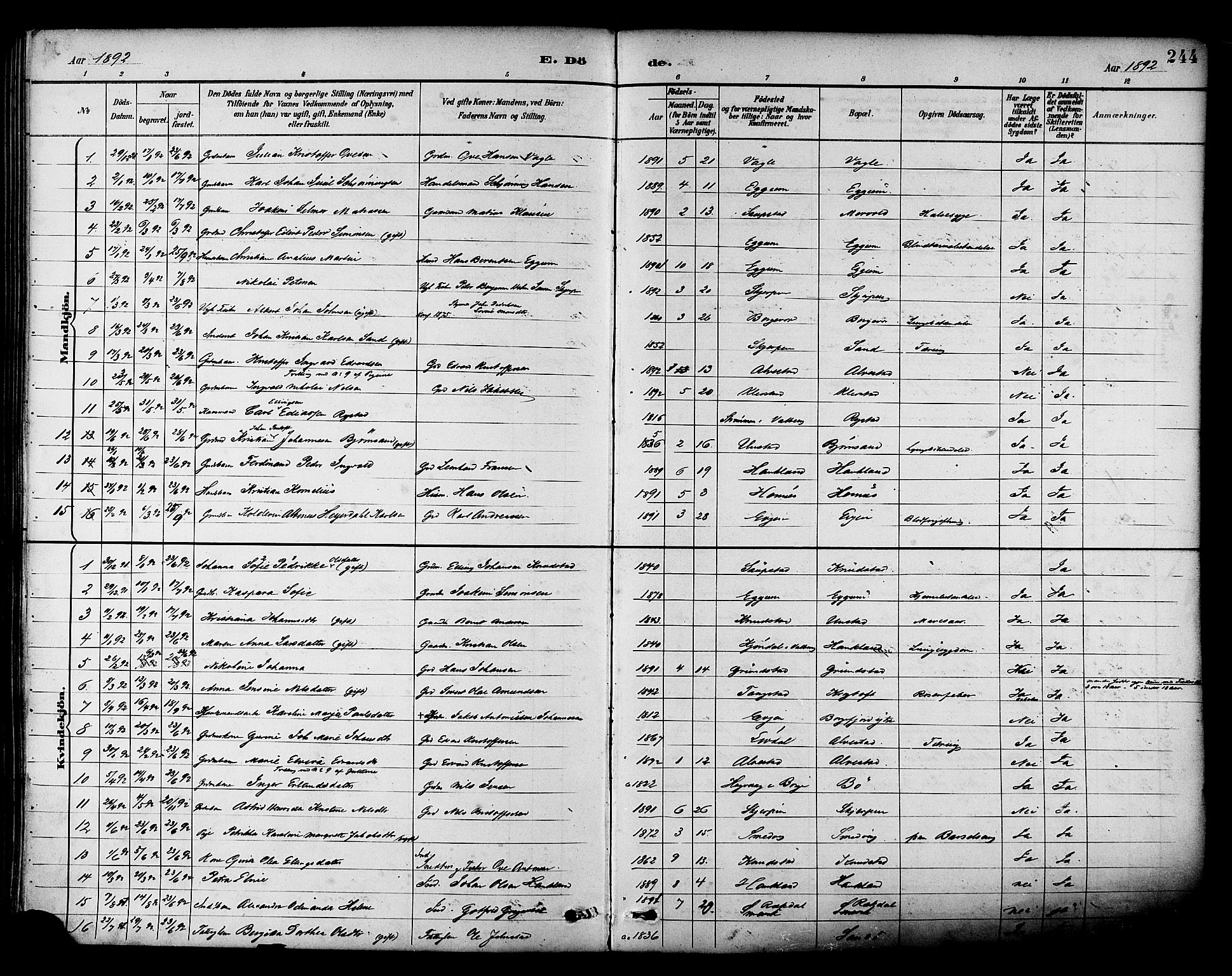 Ministerialprotokoller, klokkerbøker og fødselsregistre - Nordland, SAT/A-1459/880/L1133: Parish register (official) no. 880A07, 1888-1898, p. 244