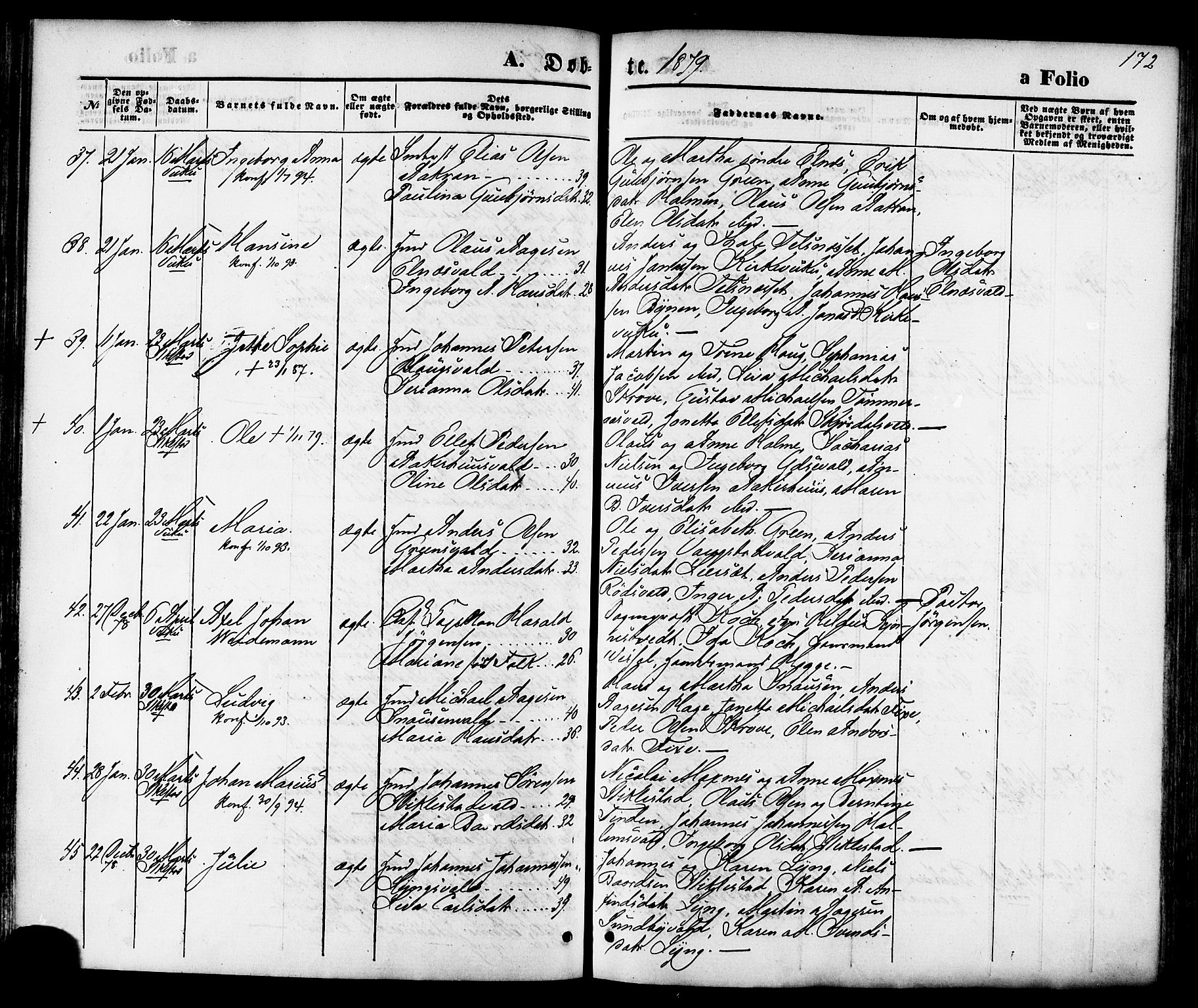 Ministerialprotokoller, klokkerbøker og fødselsregistre - Nord-Trøndelag, SAT/A-1458/723/L0242: Parish register (official) no. 723A11, 1870-1880, p. 172