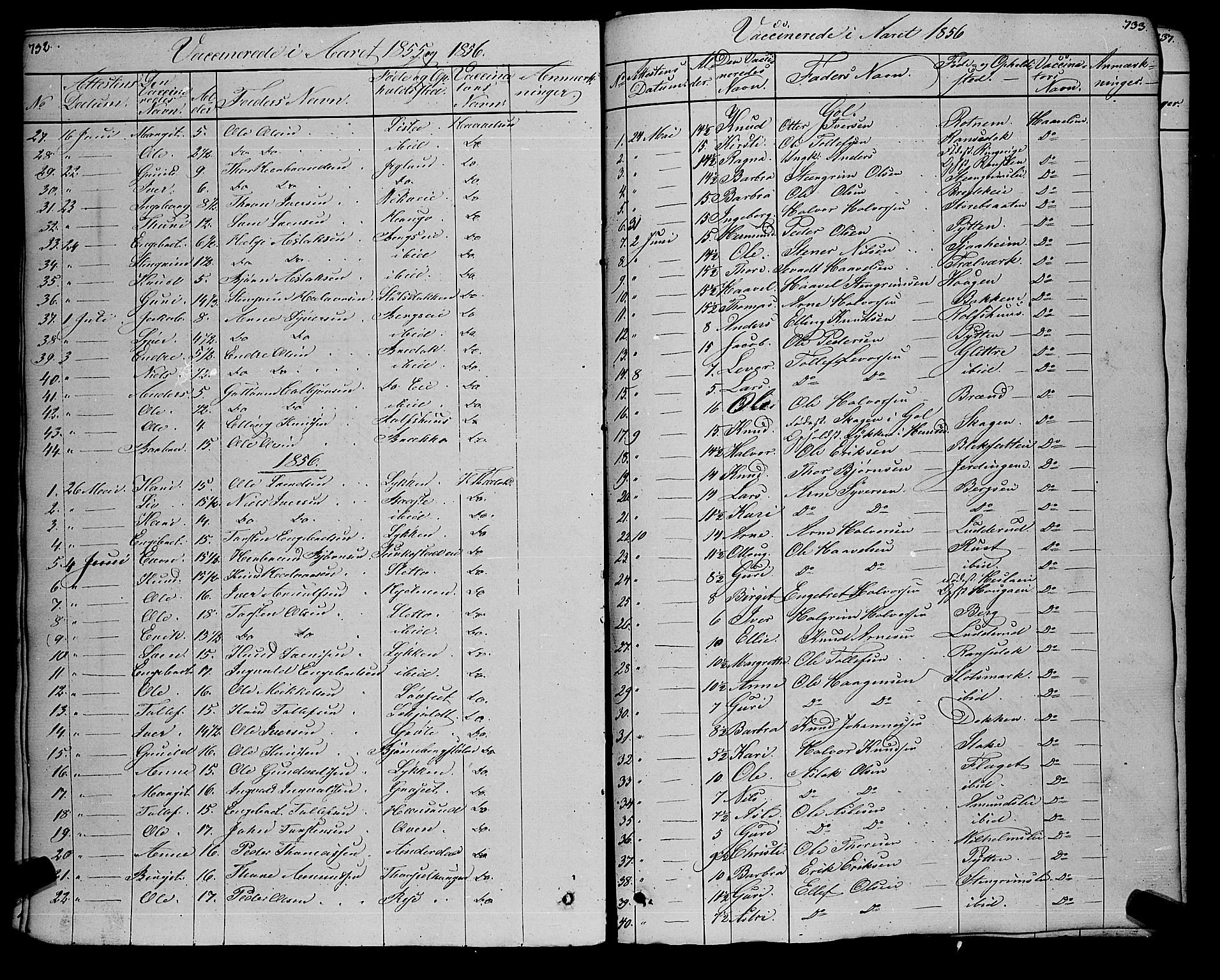 Gol kirkebøker, SAKO/A-226/F/Fa/L0002: Parish register (official) no. I 2, 1837-1863, p. 732-733