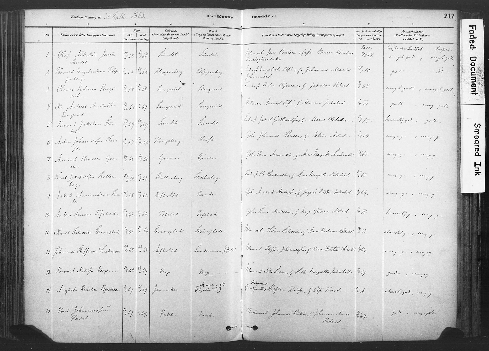 Sandsvær kirkebøker, AV/SAKO-A-244/F/Fd/L0001: Parish register (official) no. IV 1, 1878-1906, p. 217