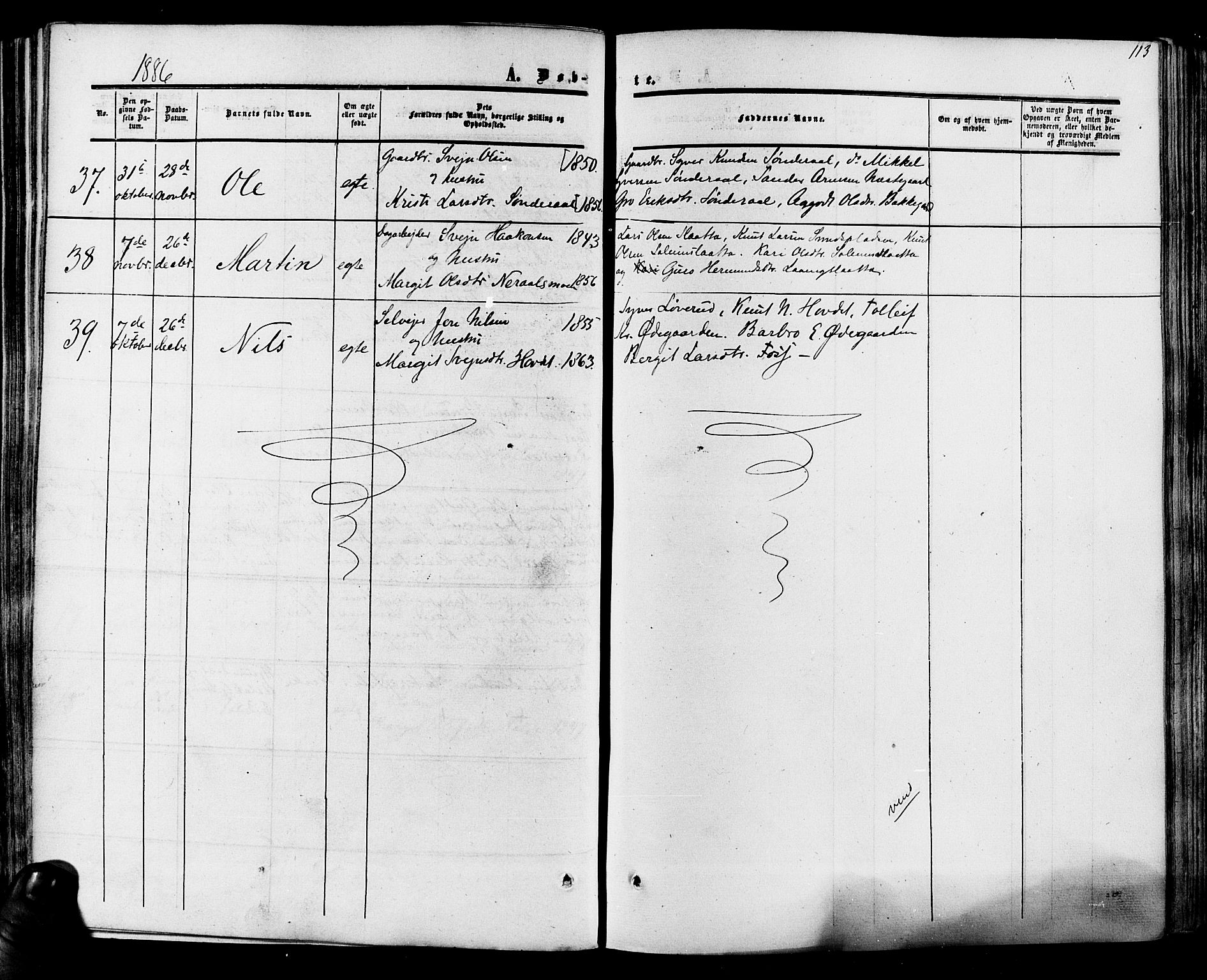 Hol kirkebøker, AV/SAKO-A-227/F/Fa/L0002: Parish register (official) no. I 2, 1870-1886, p. 113