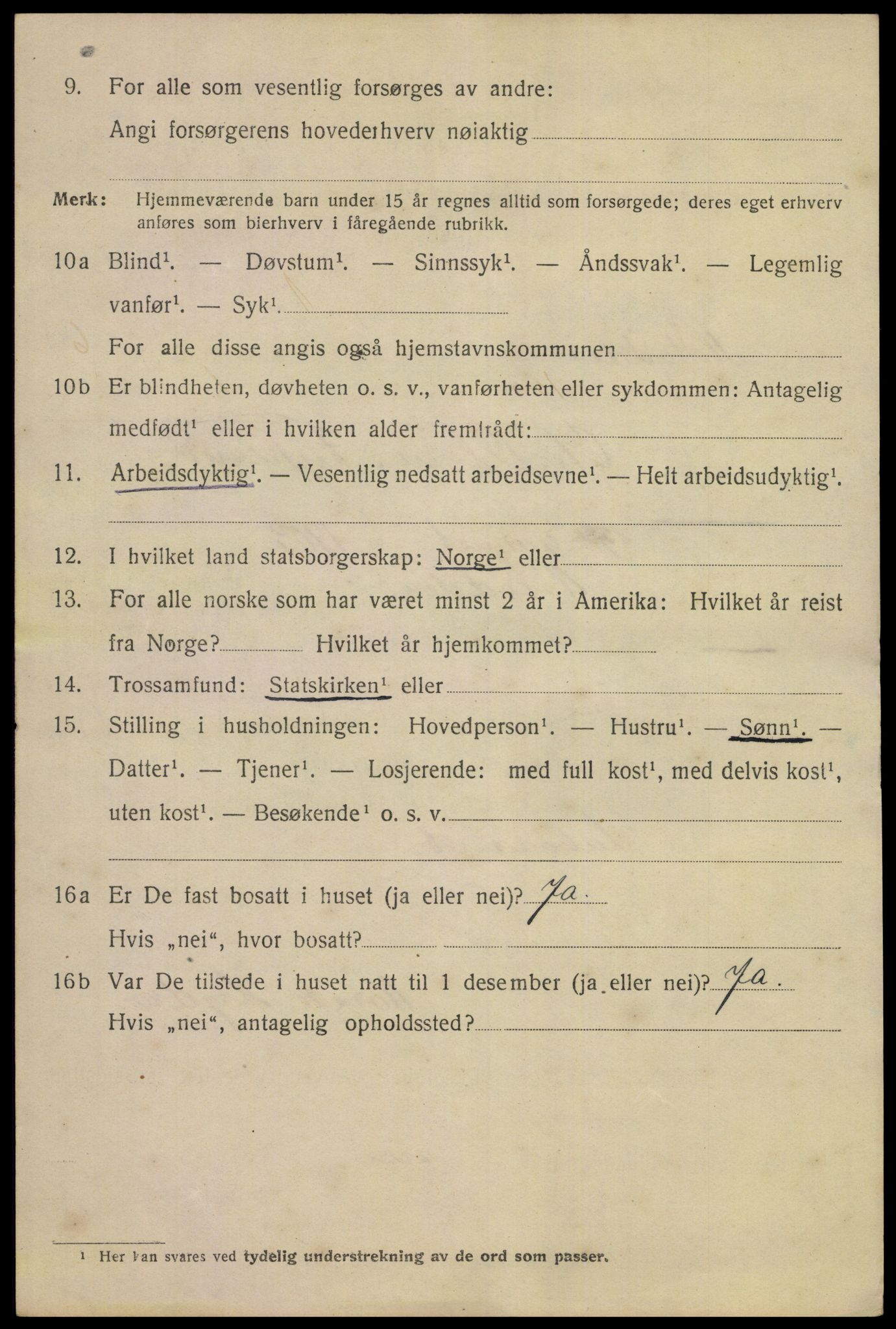 SAKO, 1920 census for Notodden, 1920, p. 15203