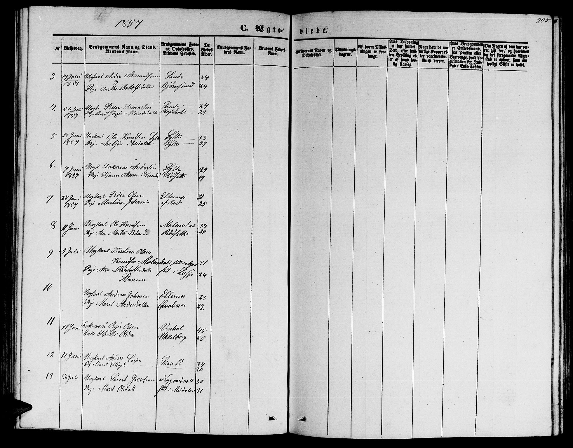 Ministerialprotokoller, klokkerbøker og fødselsregistre - Møre og Romsdal, SAT/A-1454/565/L0753: Parish register (copy) no. 565C02, 1845-1870, p. 205