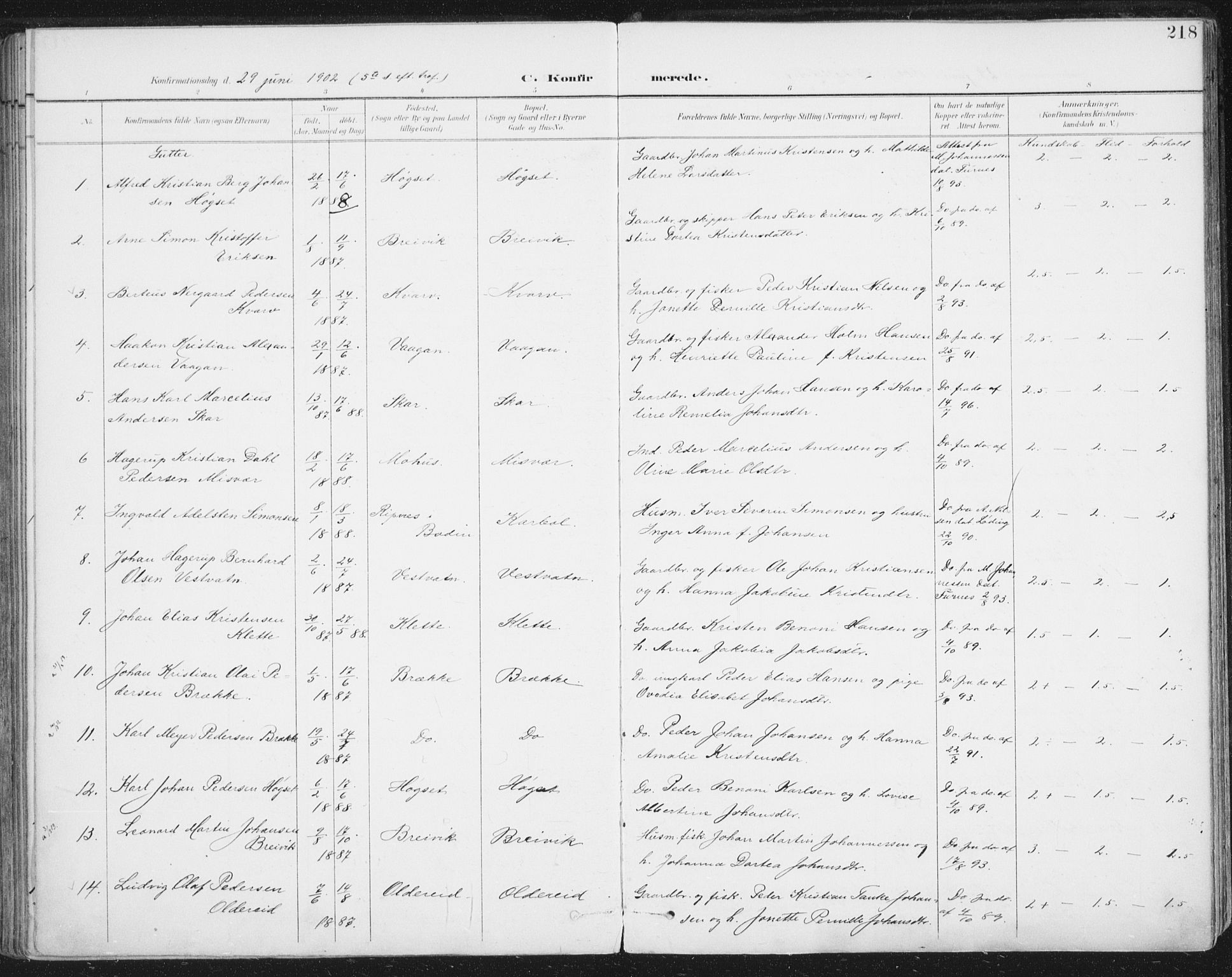 Ministerialprotokoller, klokkerbøker og fødselsregistre - Nordland, SAT/A-1459/852/L0741: Parish register (official) no. 852A11, 1894-1917, p. 218